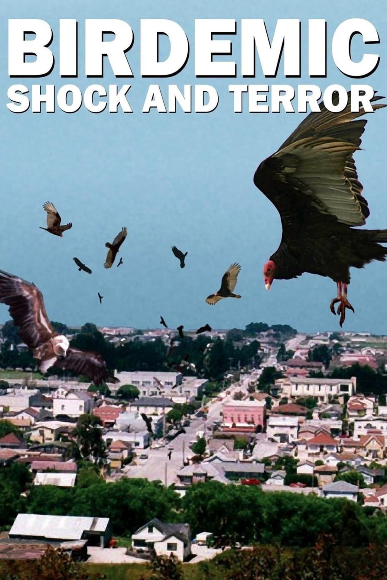 Movie Birdemic: Shock and Terror