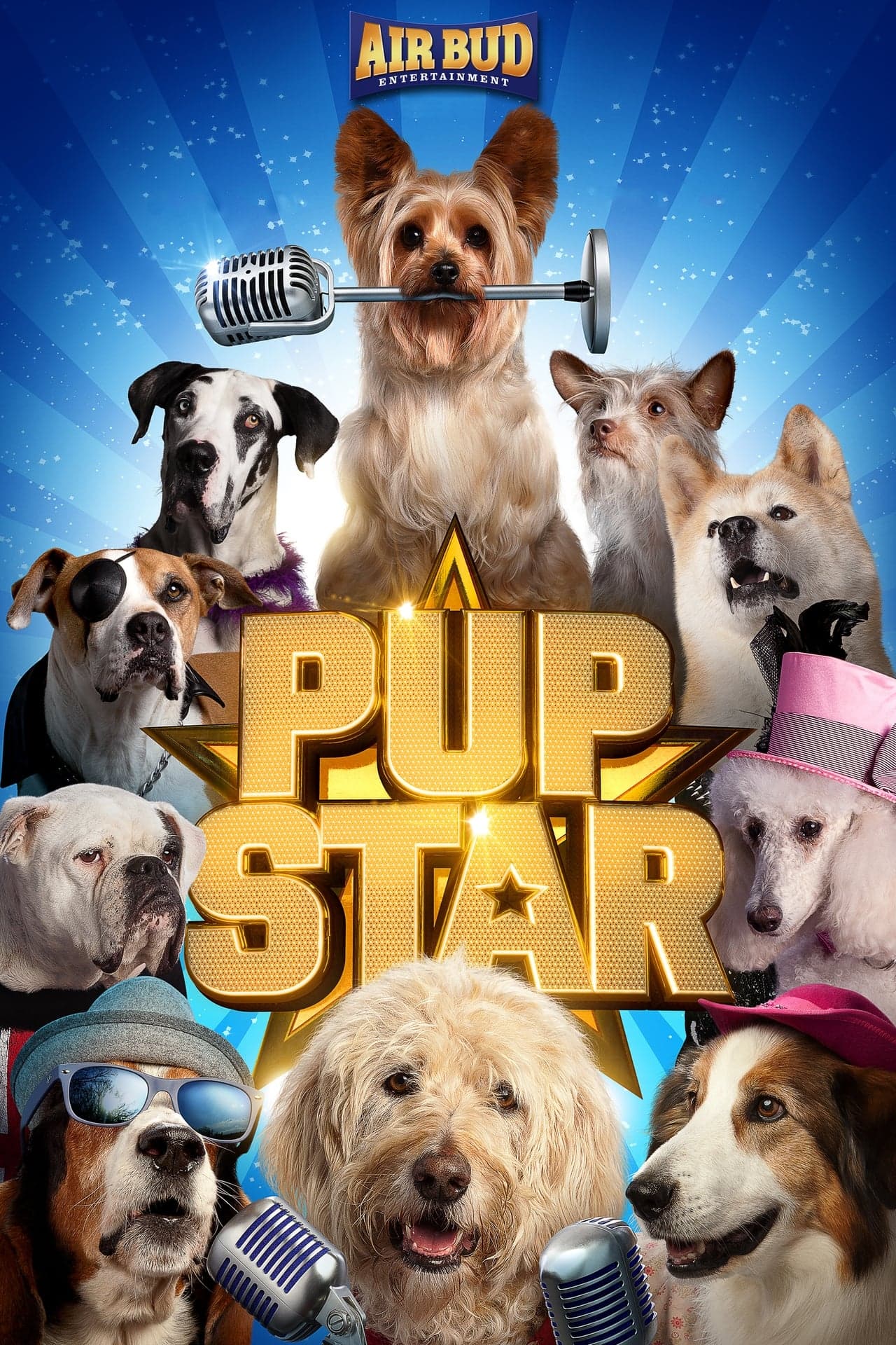 Movie Pup Star