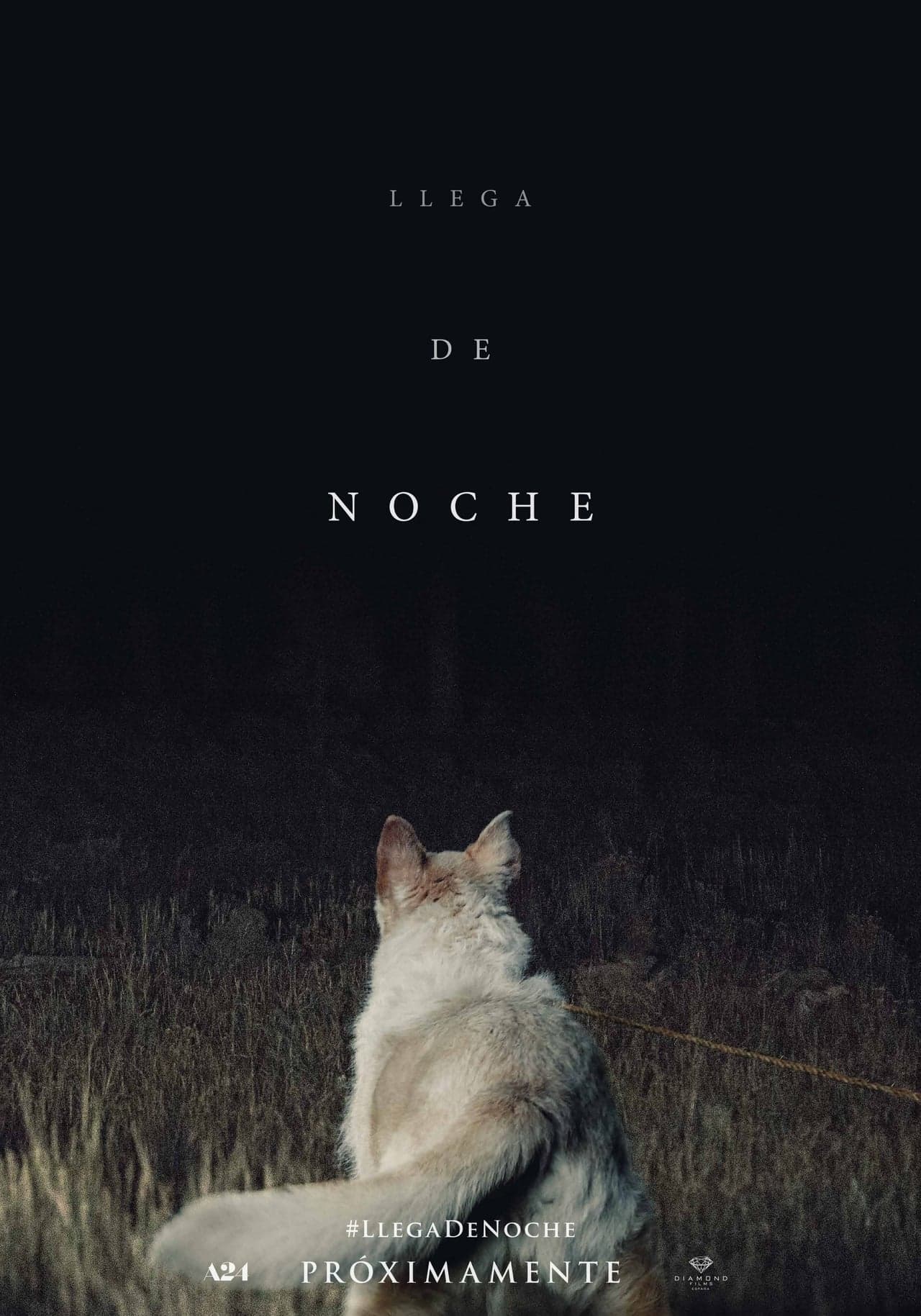 Movie Llega de noche