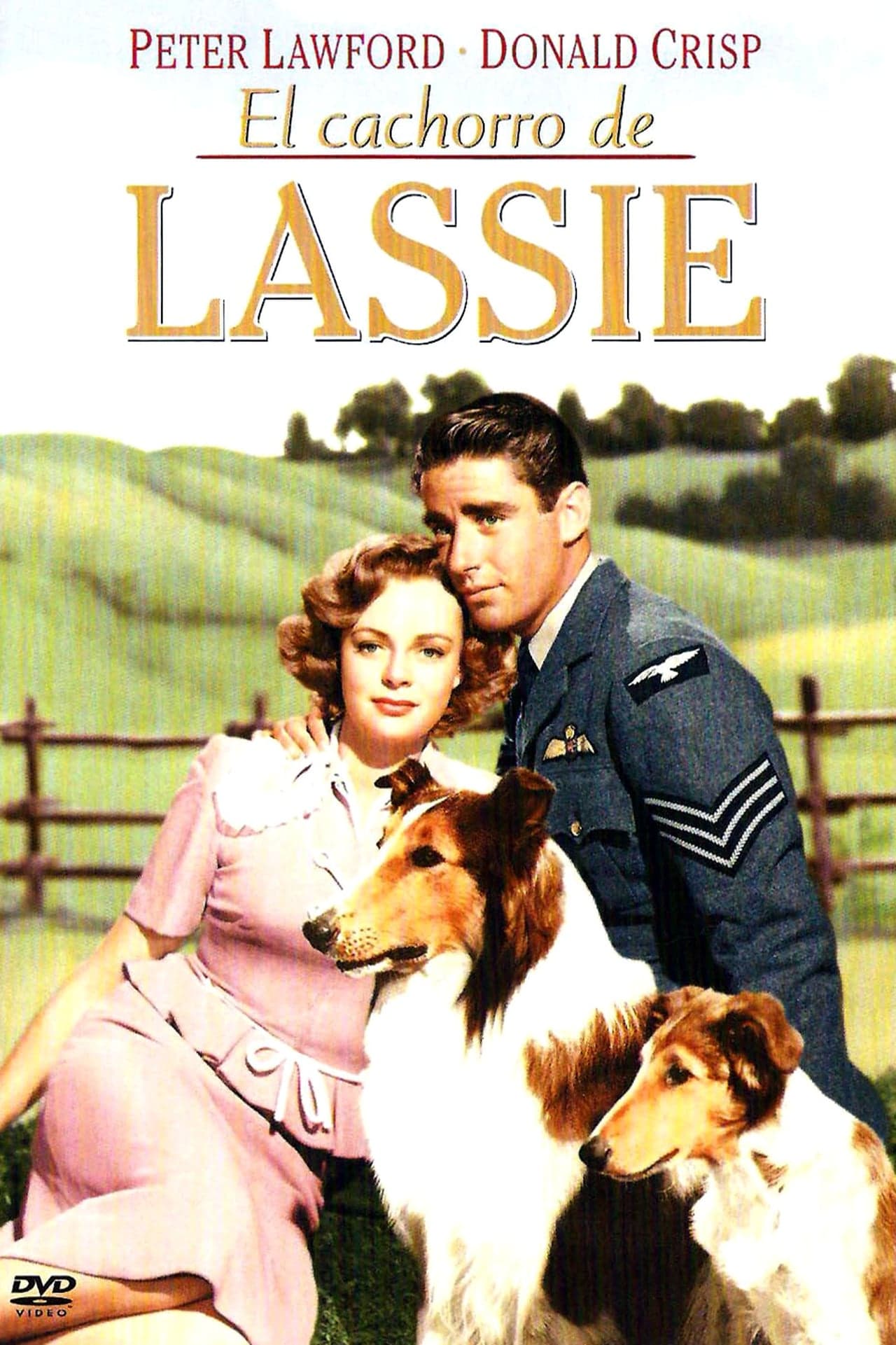 Movie El cachorro de Lassie