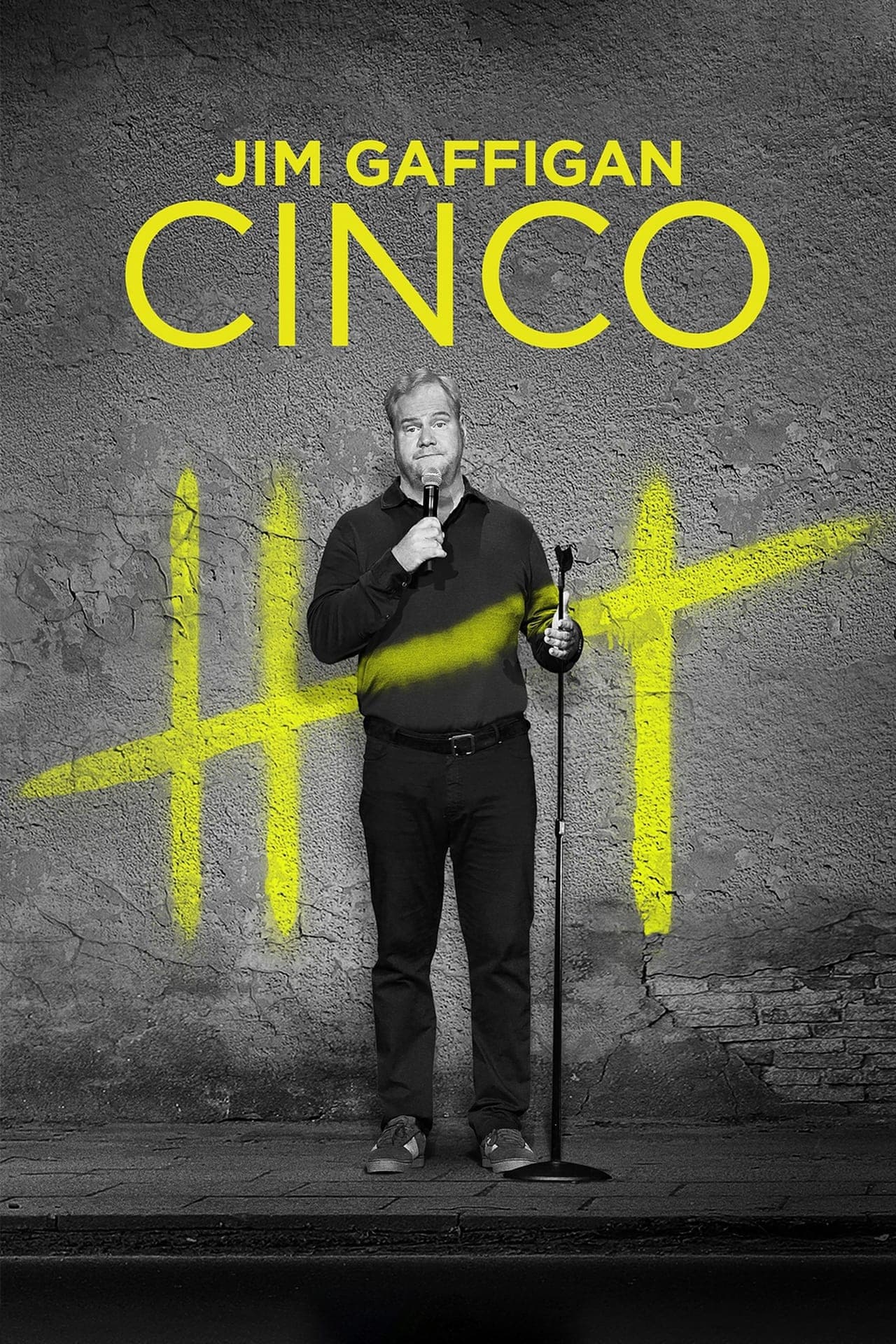 Movie Jim Gaffigan: Cinco