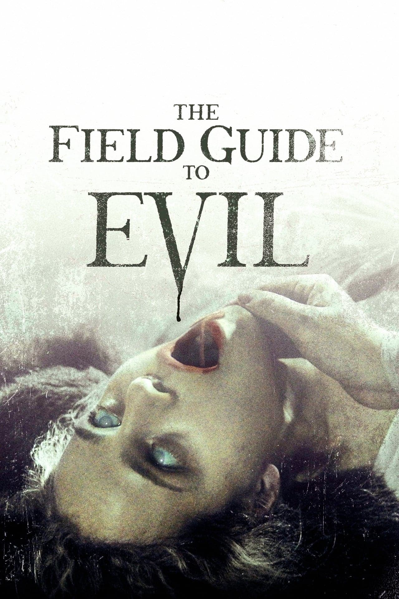 Película The Field Guide to Evil