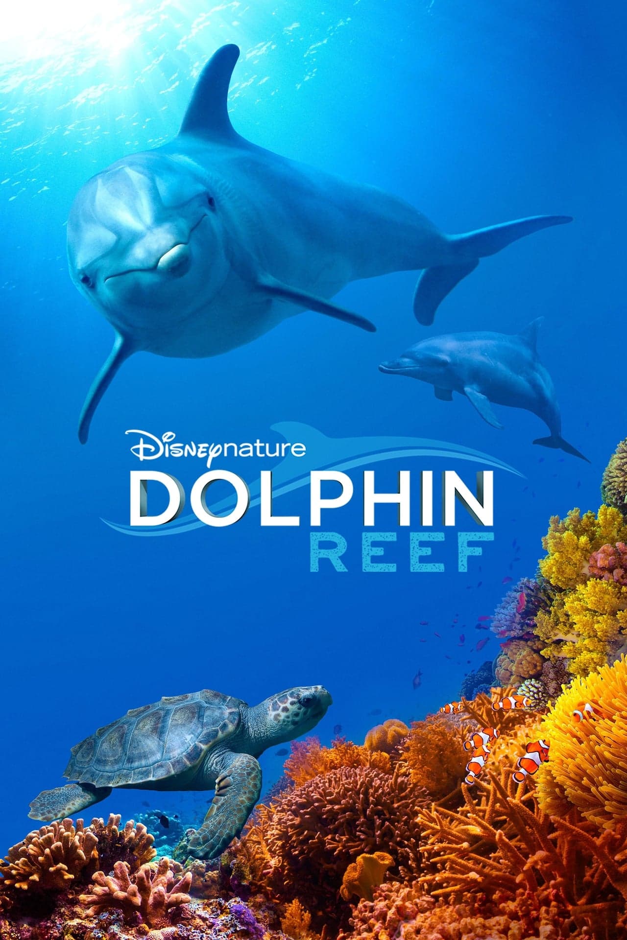 Movie Delfines: La vida en el arrecife