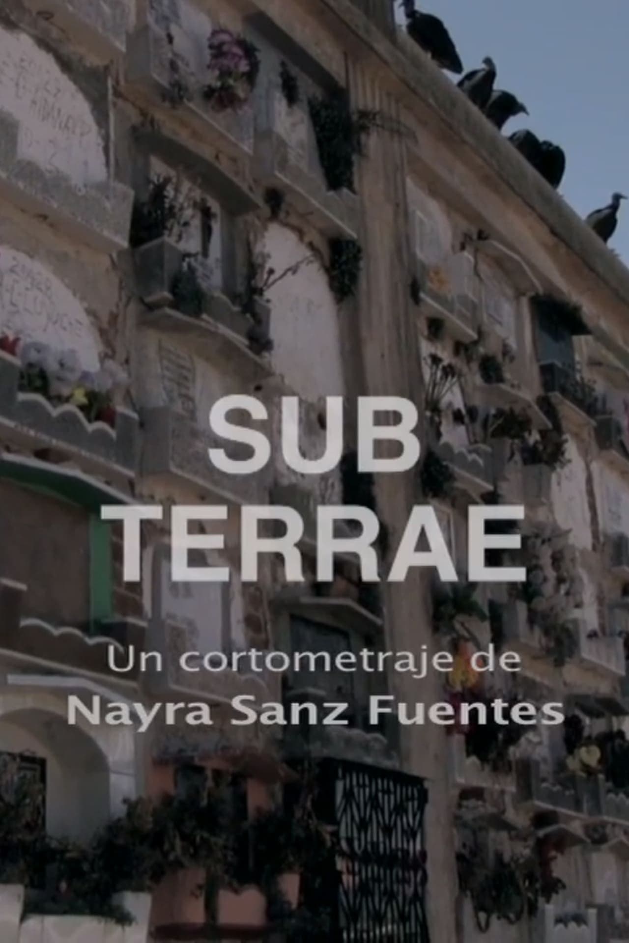 Movie Sub Terrae