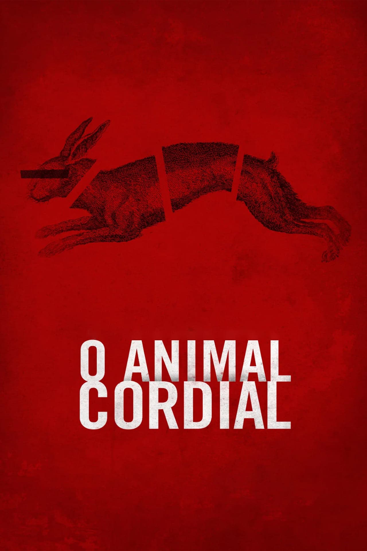 Película O Animal Cordial