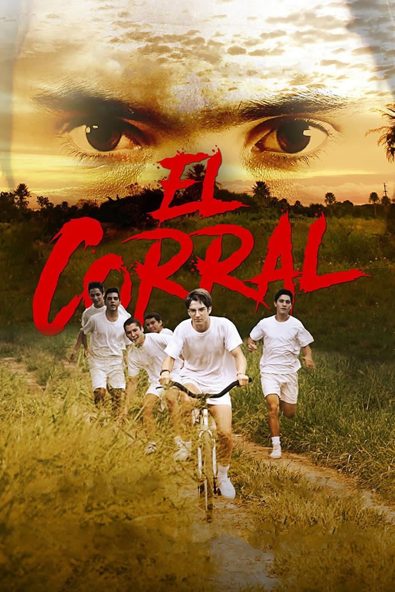 Película El corral