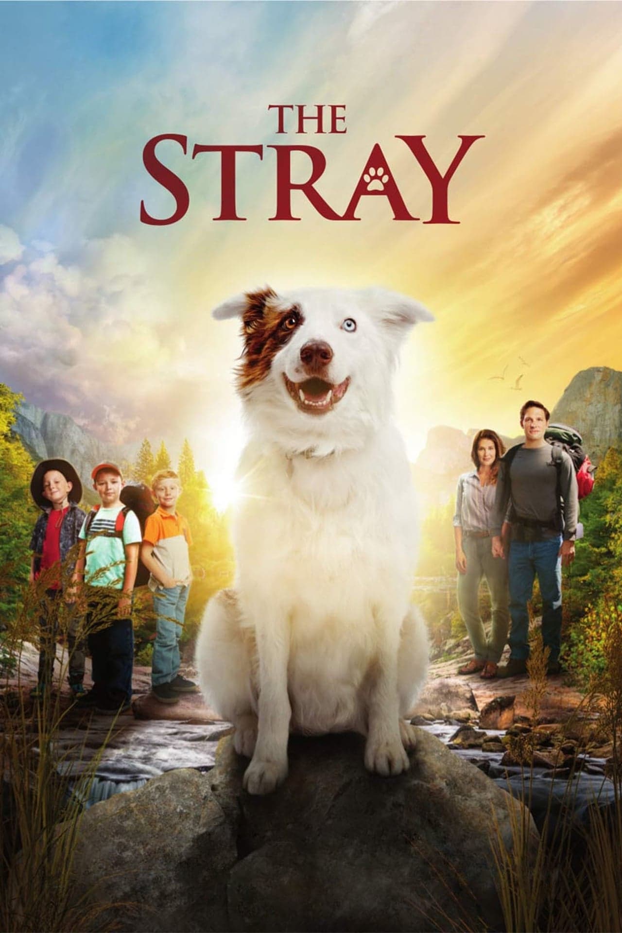 Movie The Stray