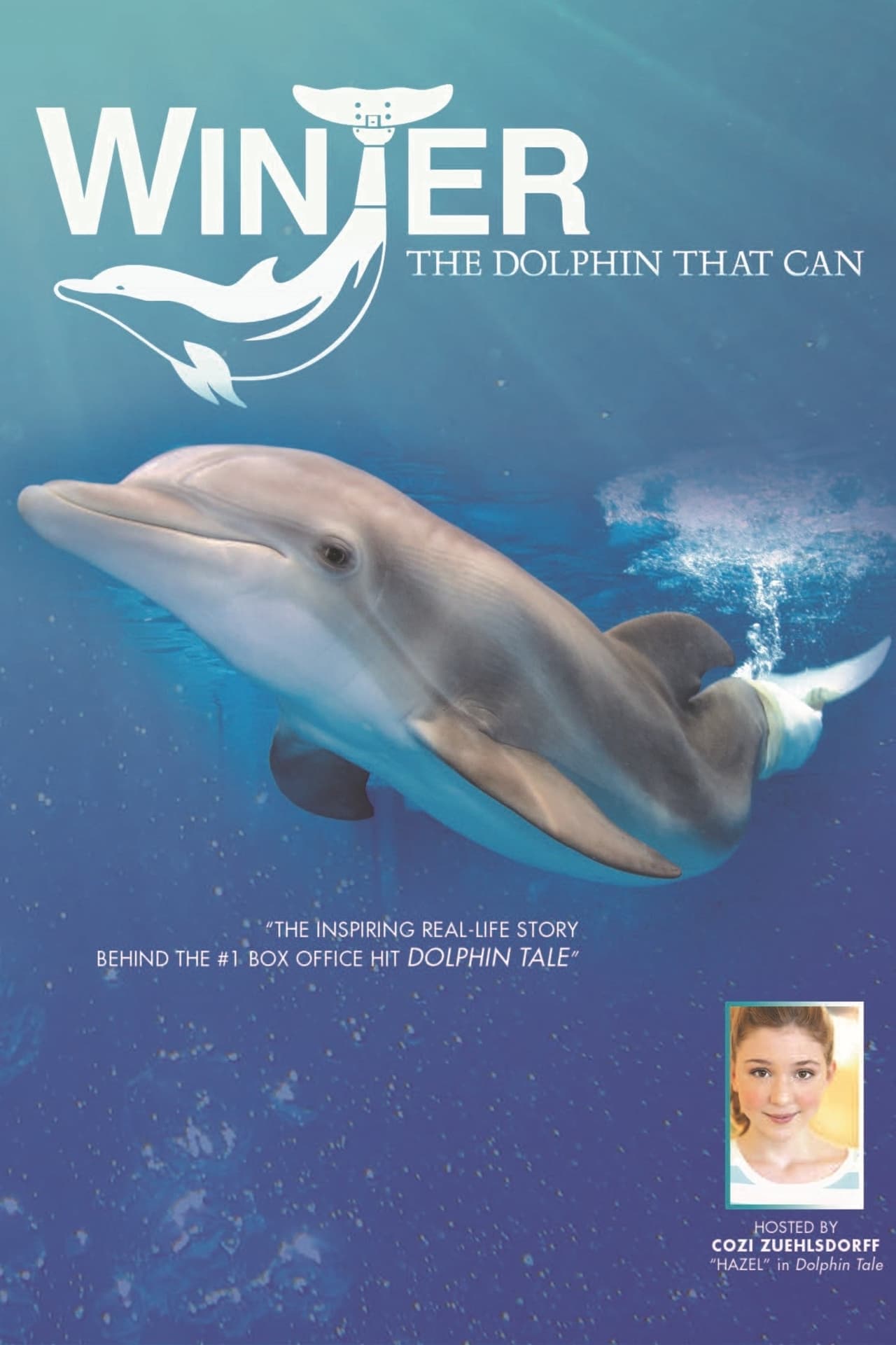 Movie Winter, the Dolphin that Can