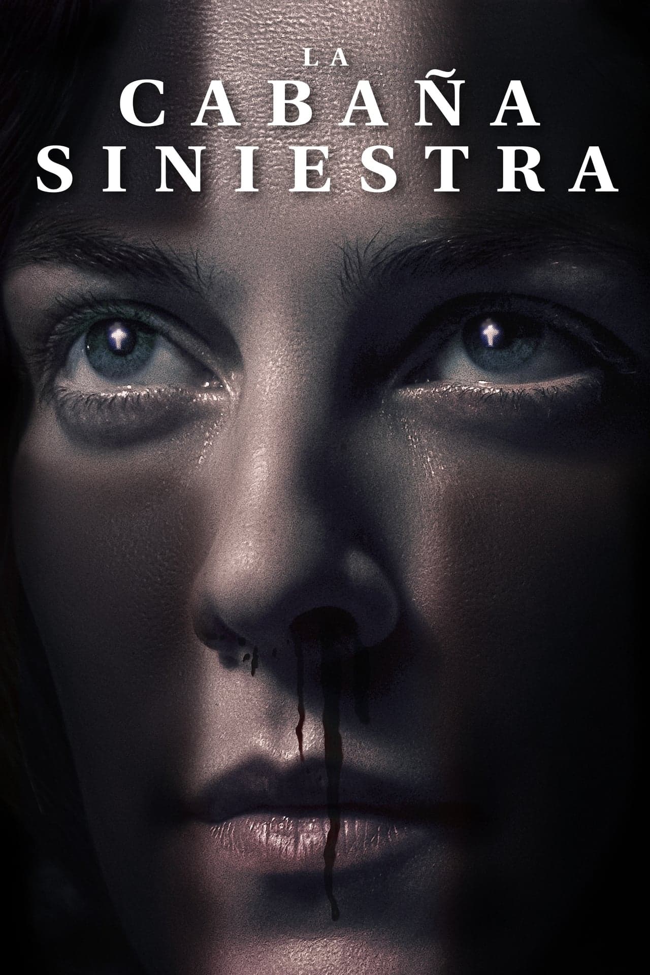 Película La cabaña siniestra