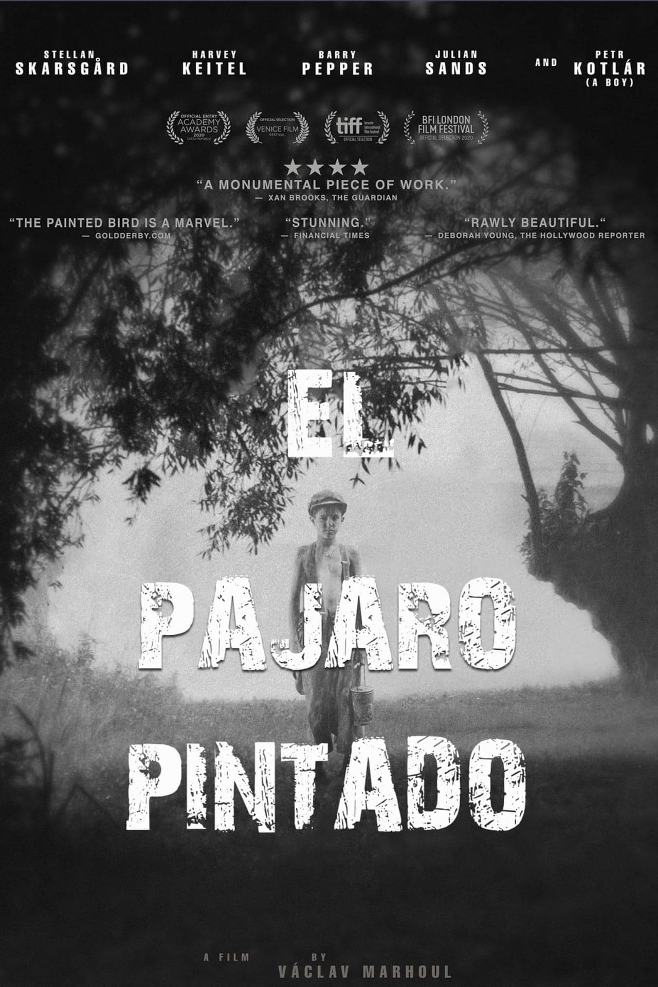 Película El pájaro pintado