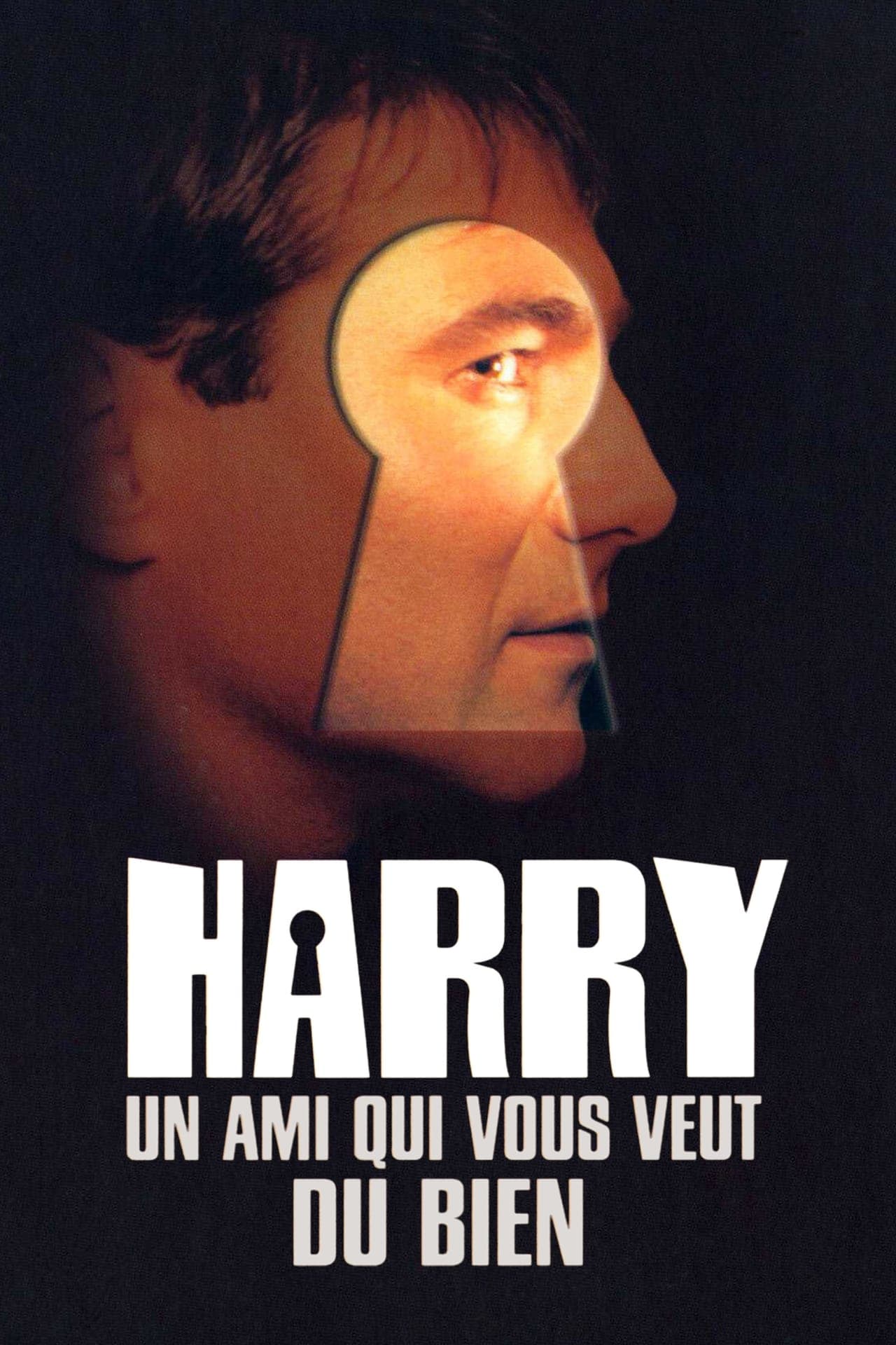 Película Harry, un amigo que os quiere