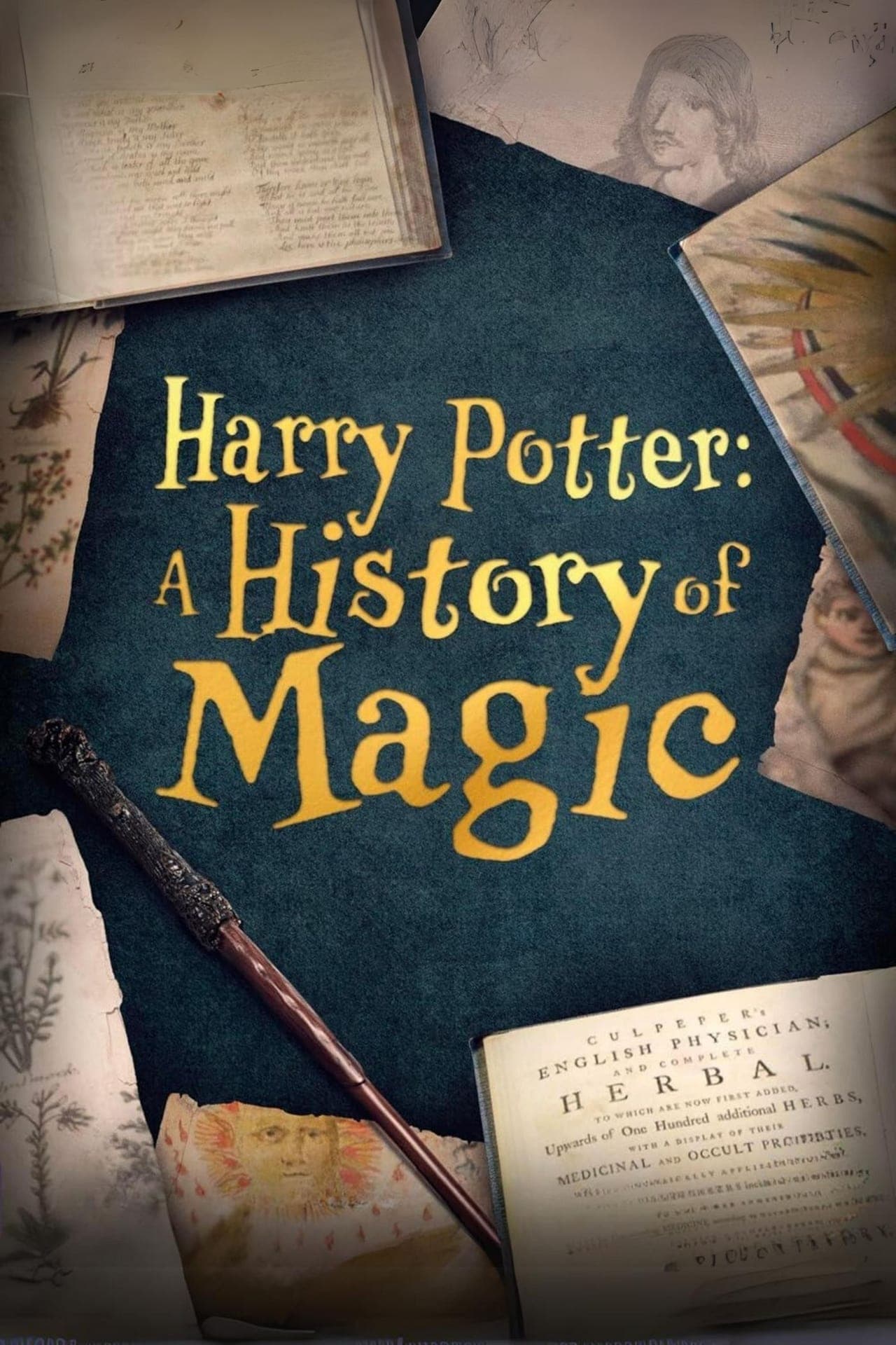 Movie Harry Potter: una historia de magia