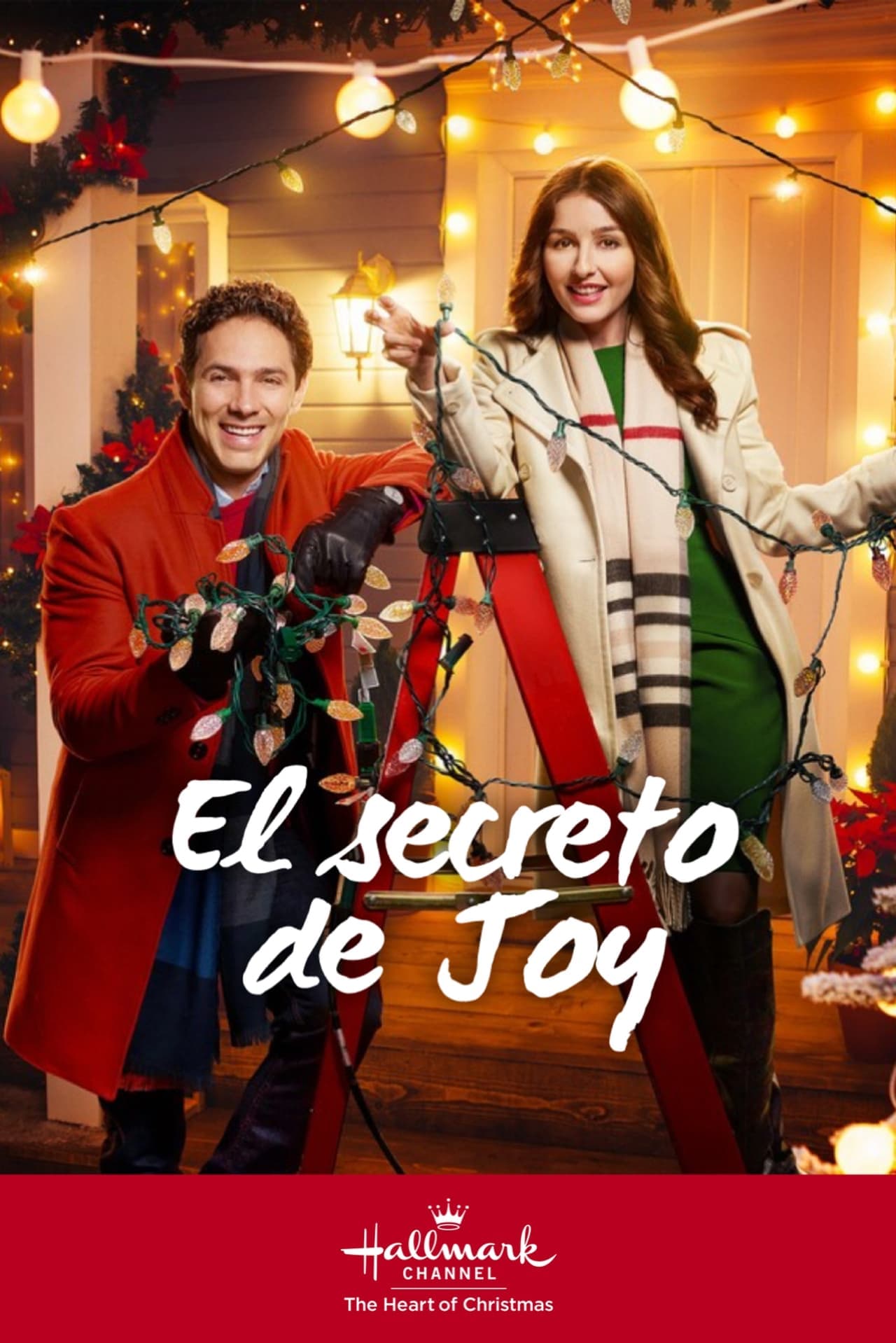 Película El secreto de Joy