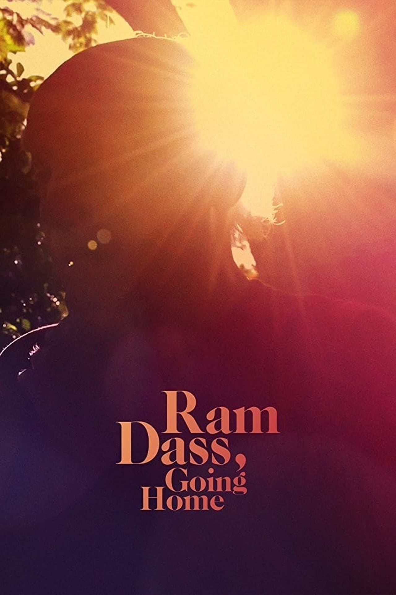 Movie Ram Dass, Going Home