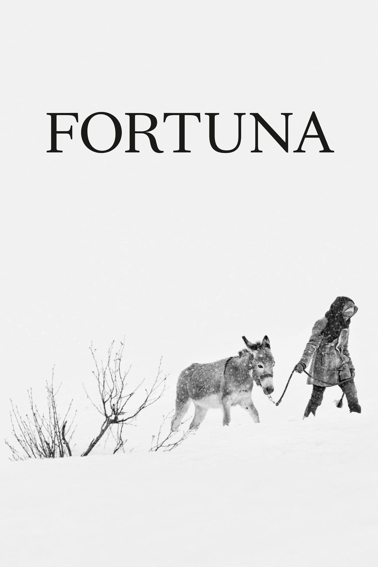 Movie Fortuna