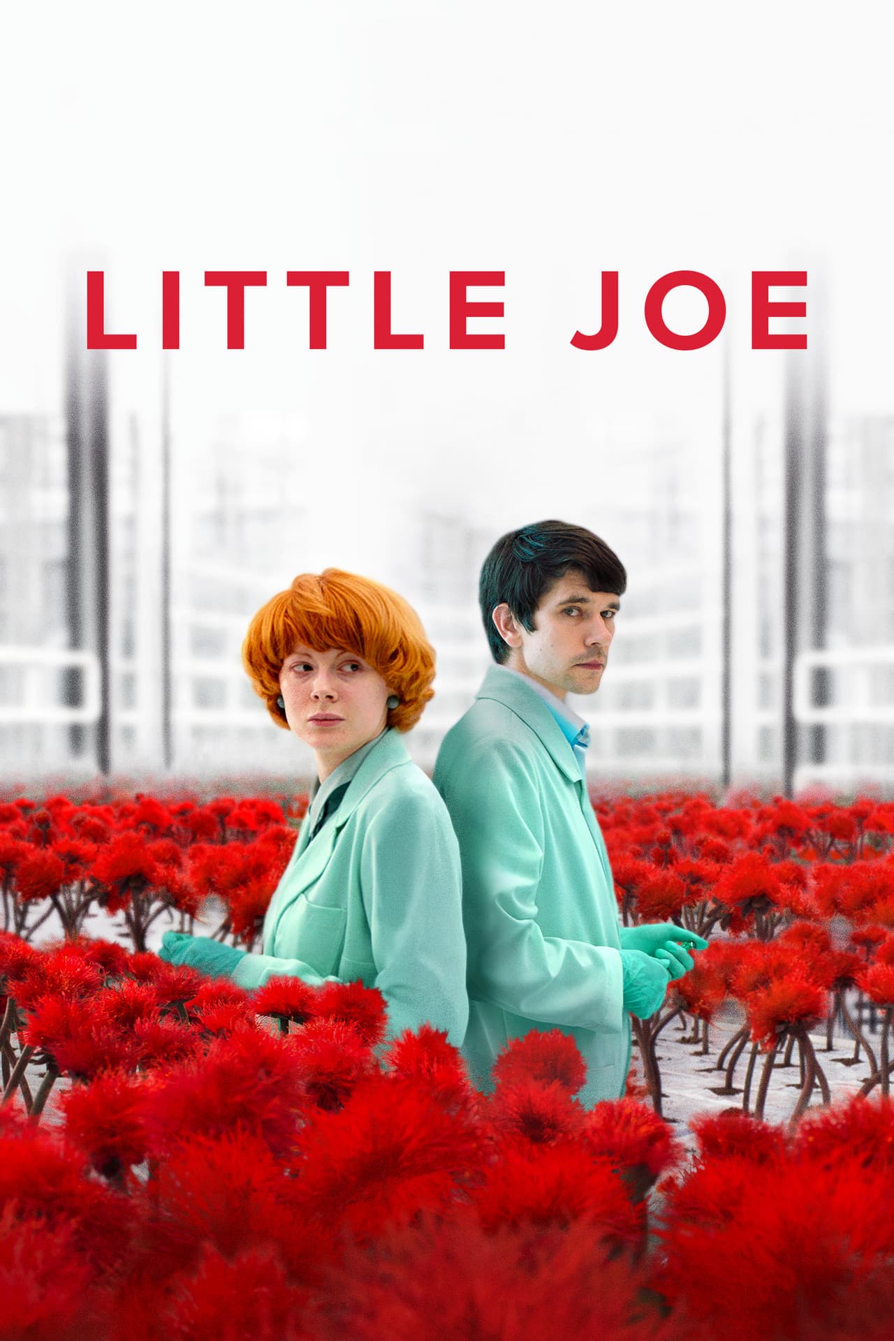 Película Little Joe