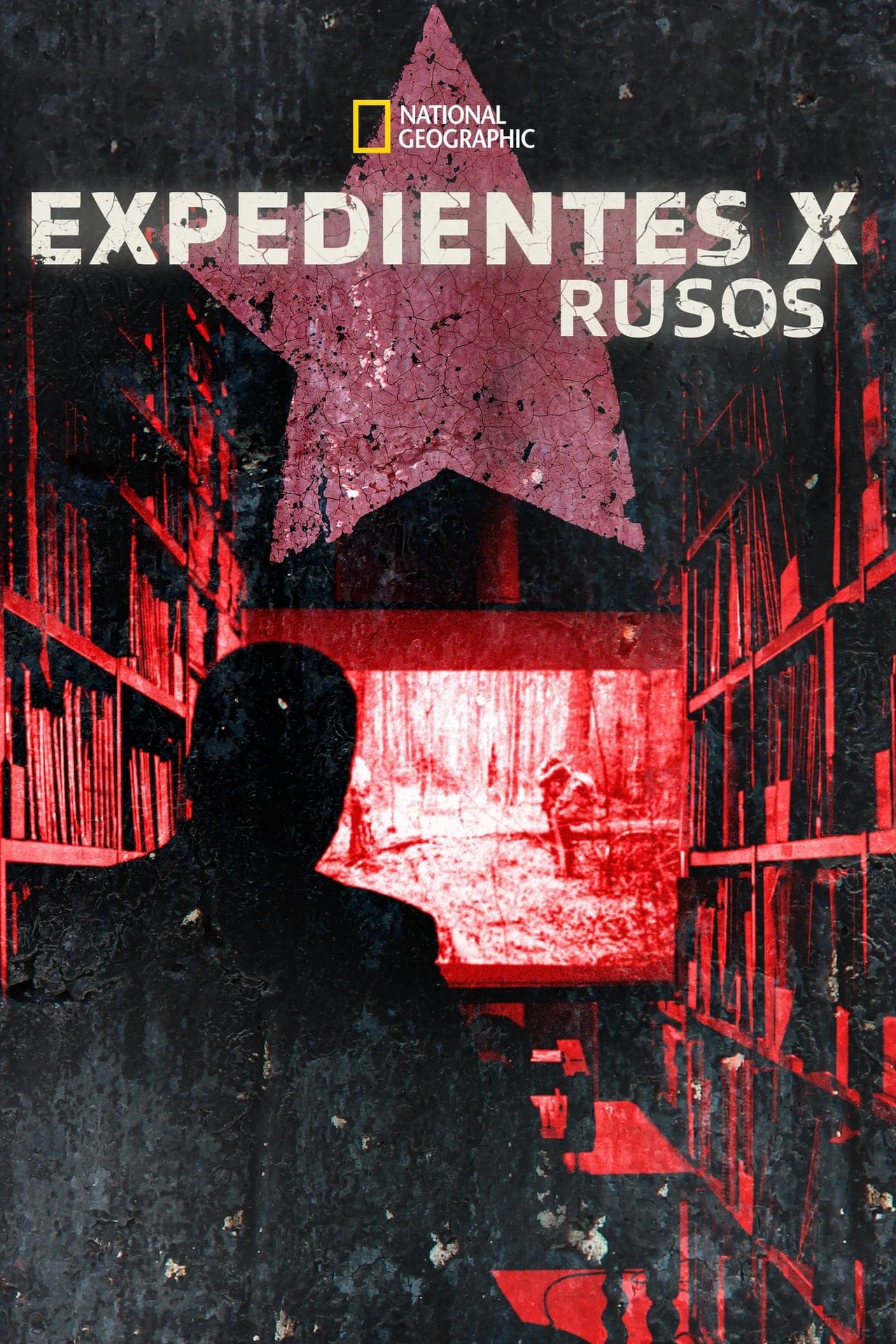 Movie Expedientes X rusos