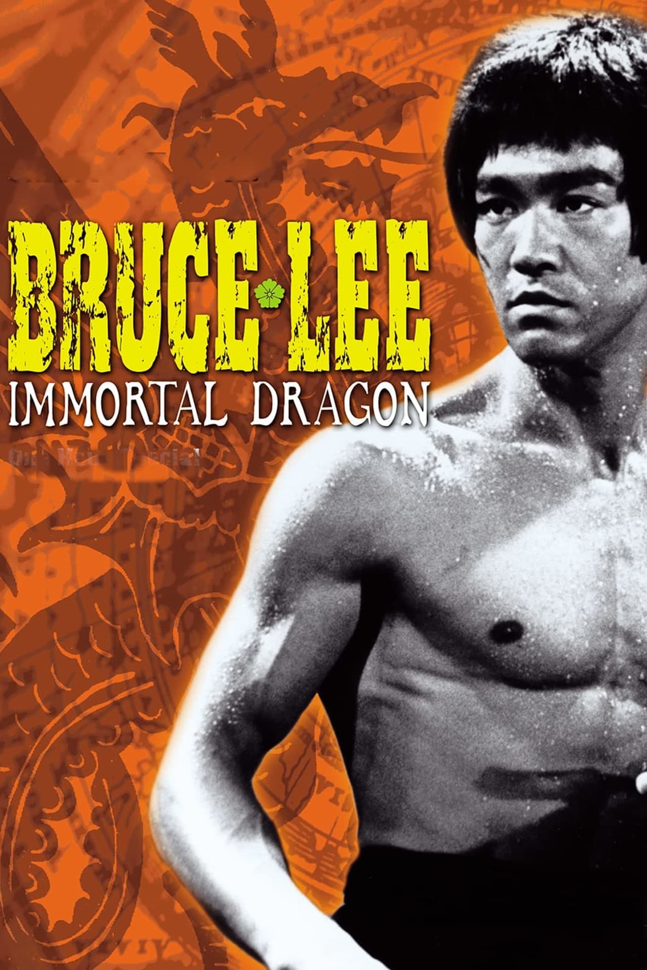 Movie Bruce Lee: The Immortal Dragon