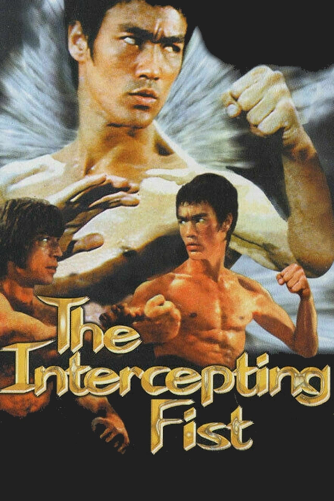 Película Bruce Lee: The Intercepting Fist