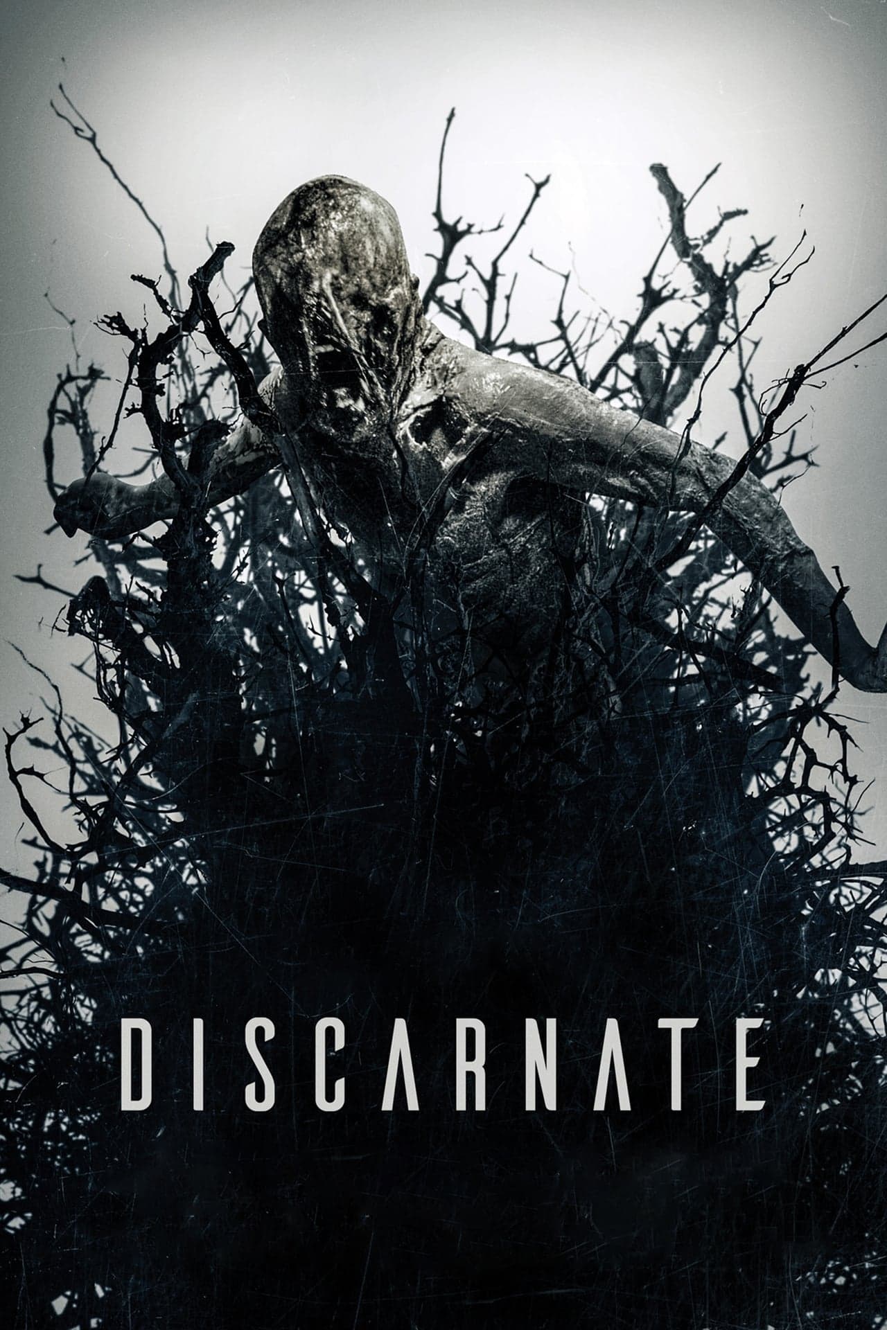 Movie Discarnate