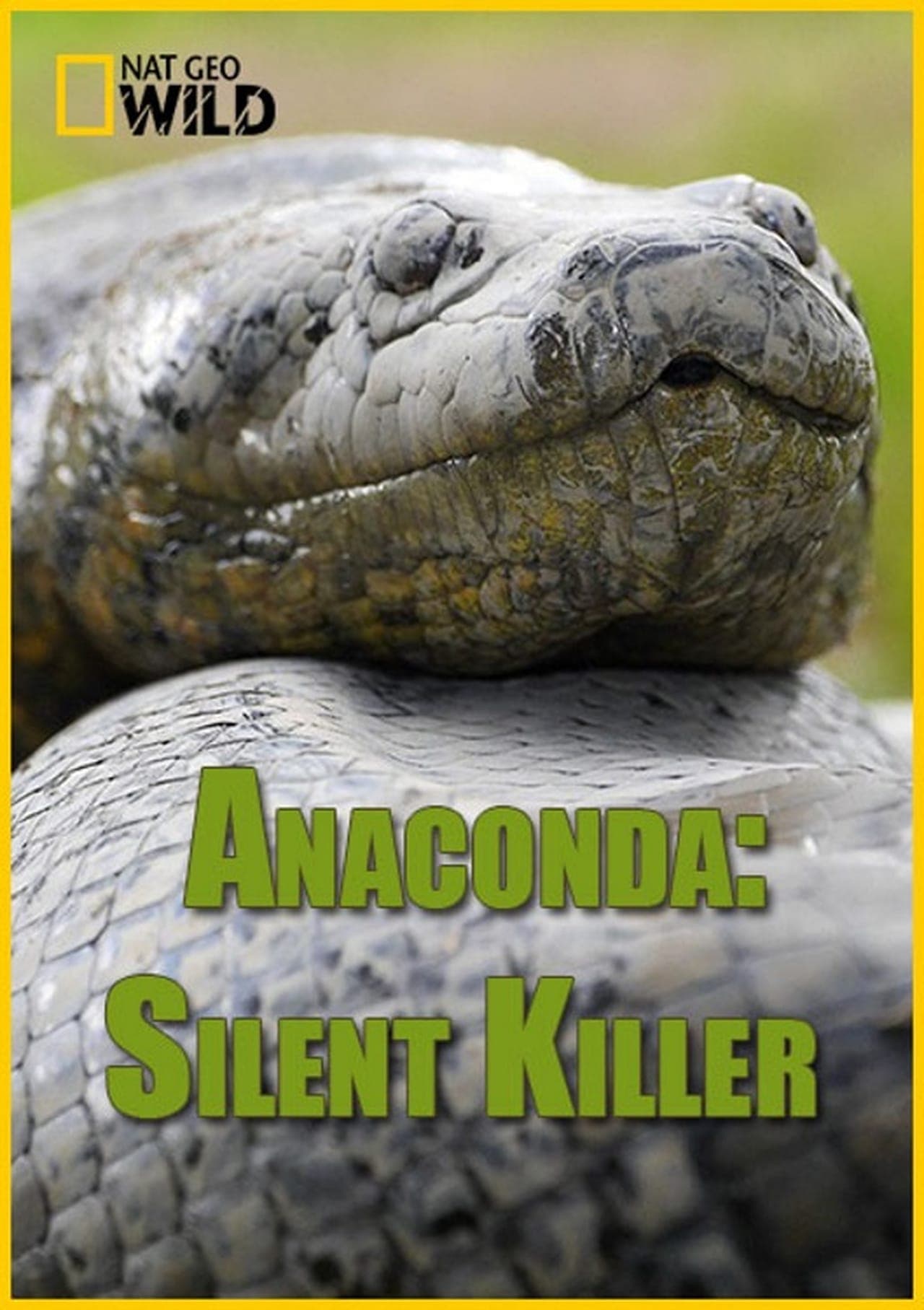 Movie Anaconda: Asesino sigiloso