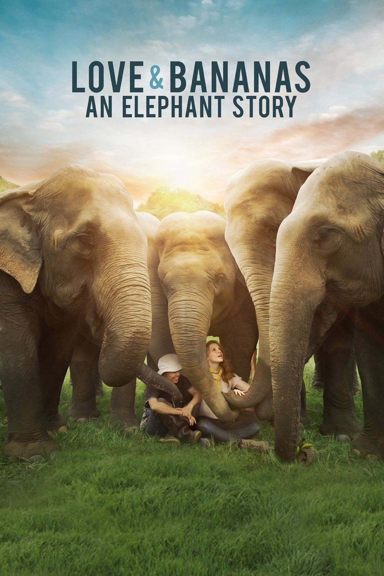 Película Love & Bananas: An Elephant Story