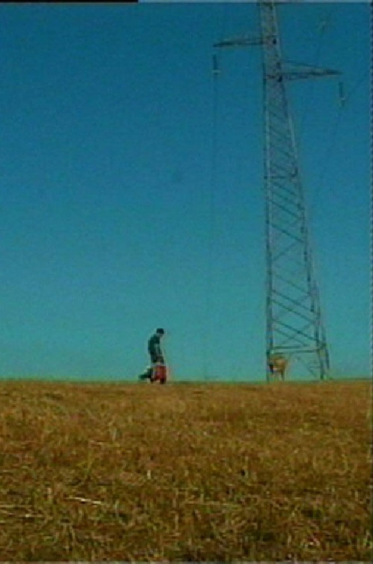 Movie La Poursuite du Bonheur