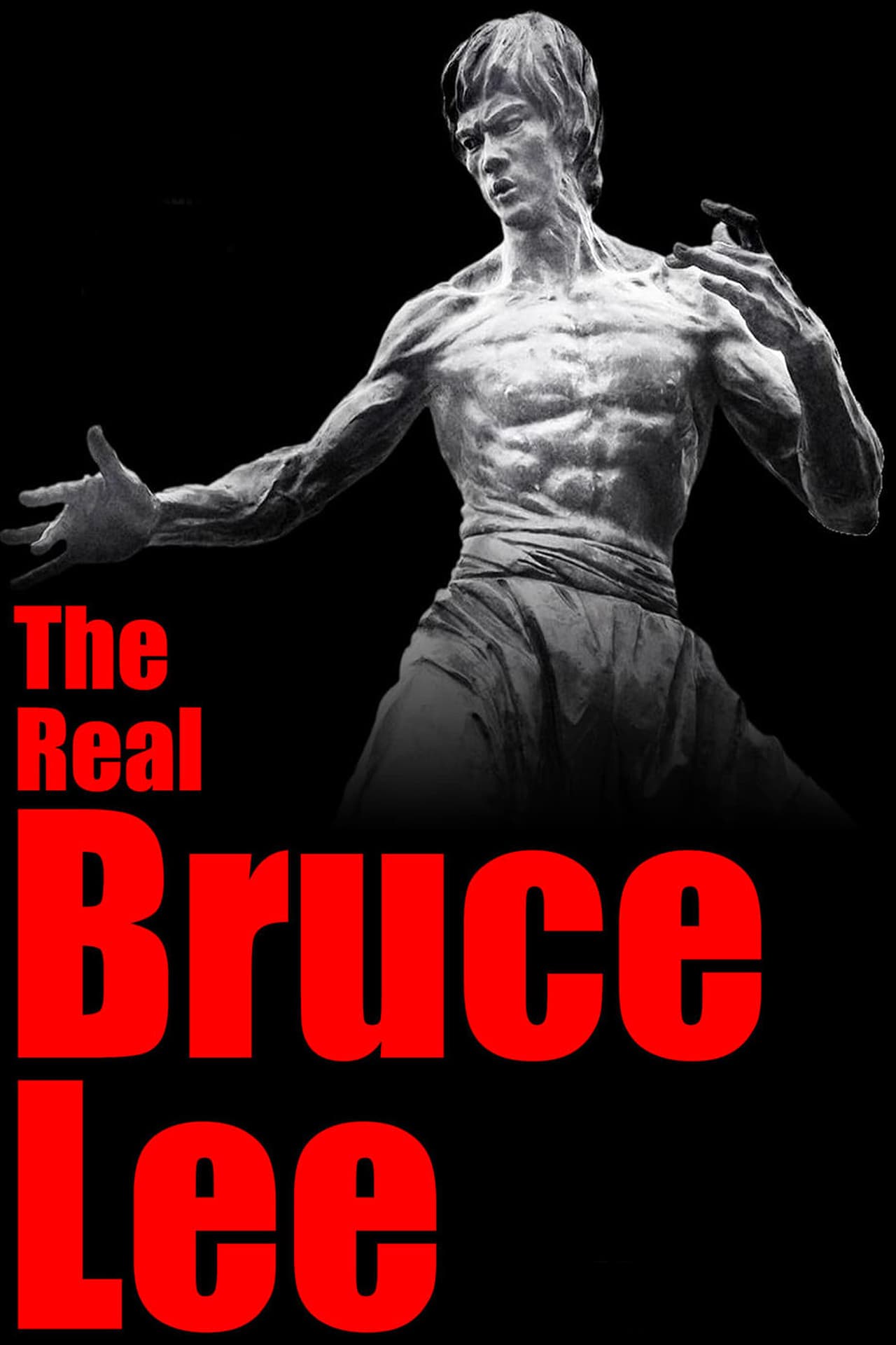 Película The Real Bruce Lee