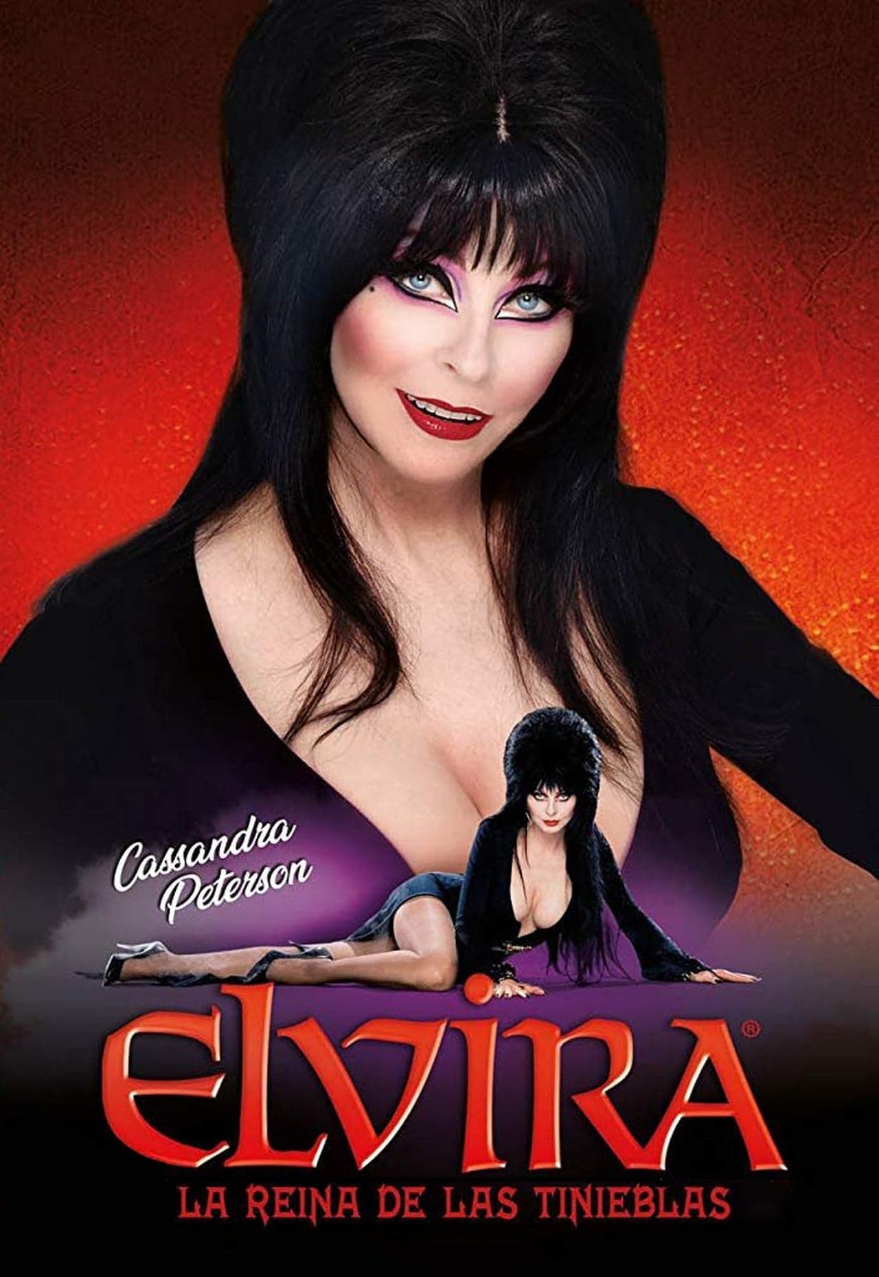 Película Elvira, la reina de las tinieblas