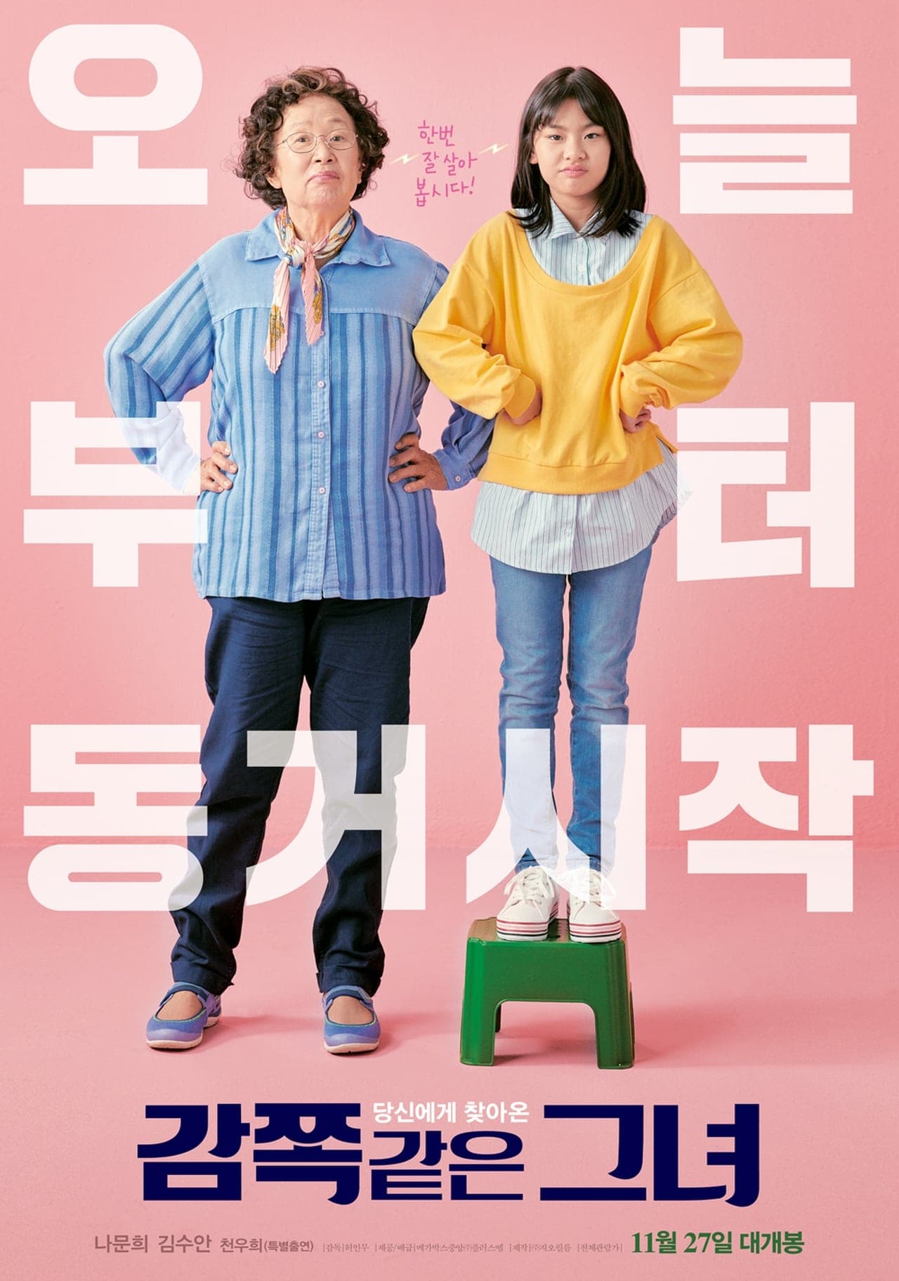 Película 감쪽같은 그녀