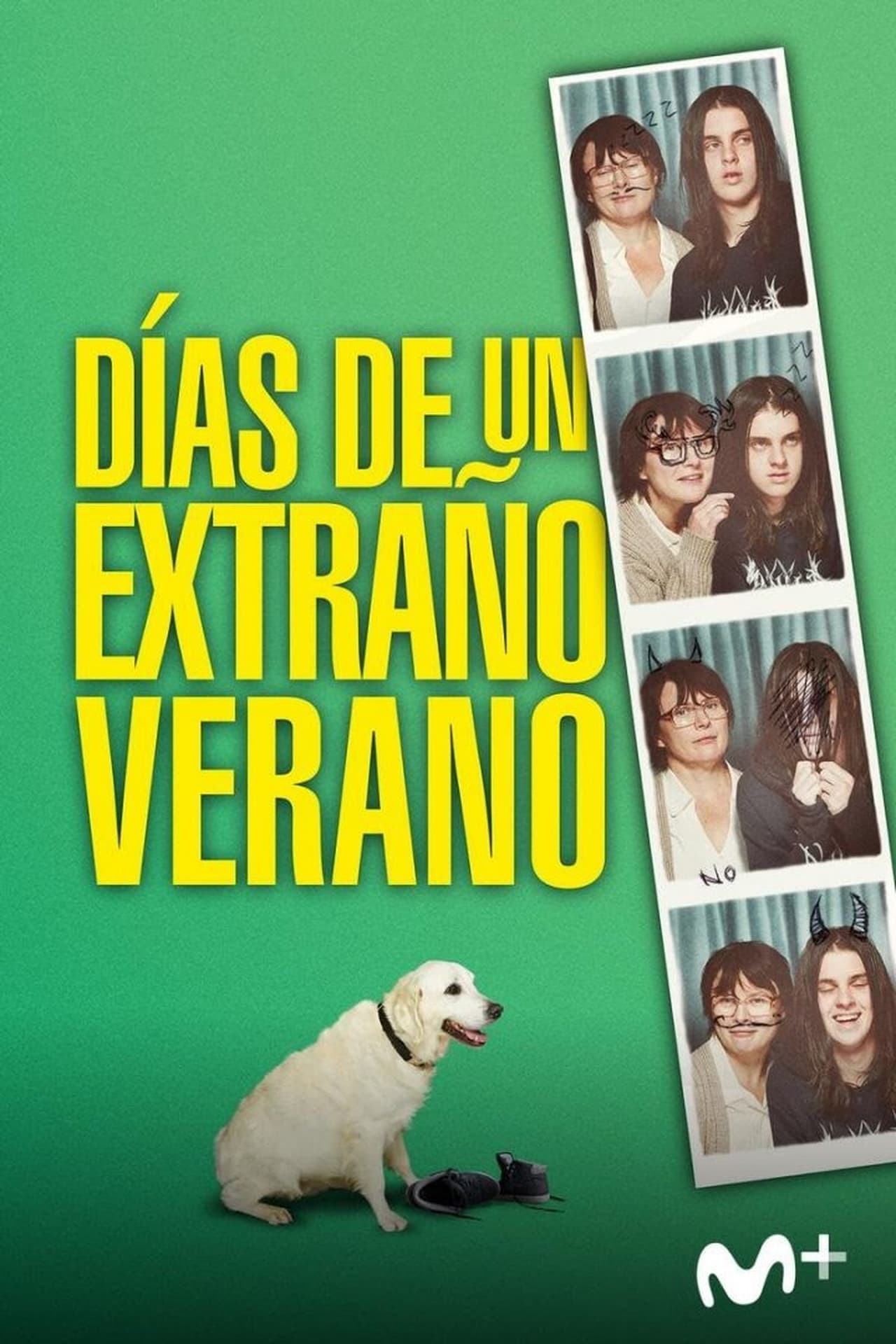 Película Días de un extraño verano