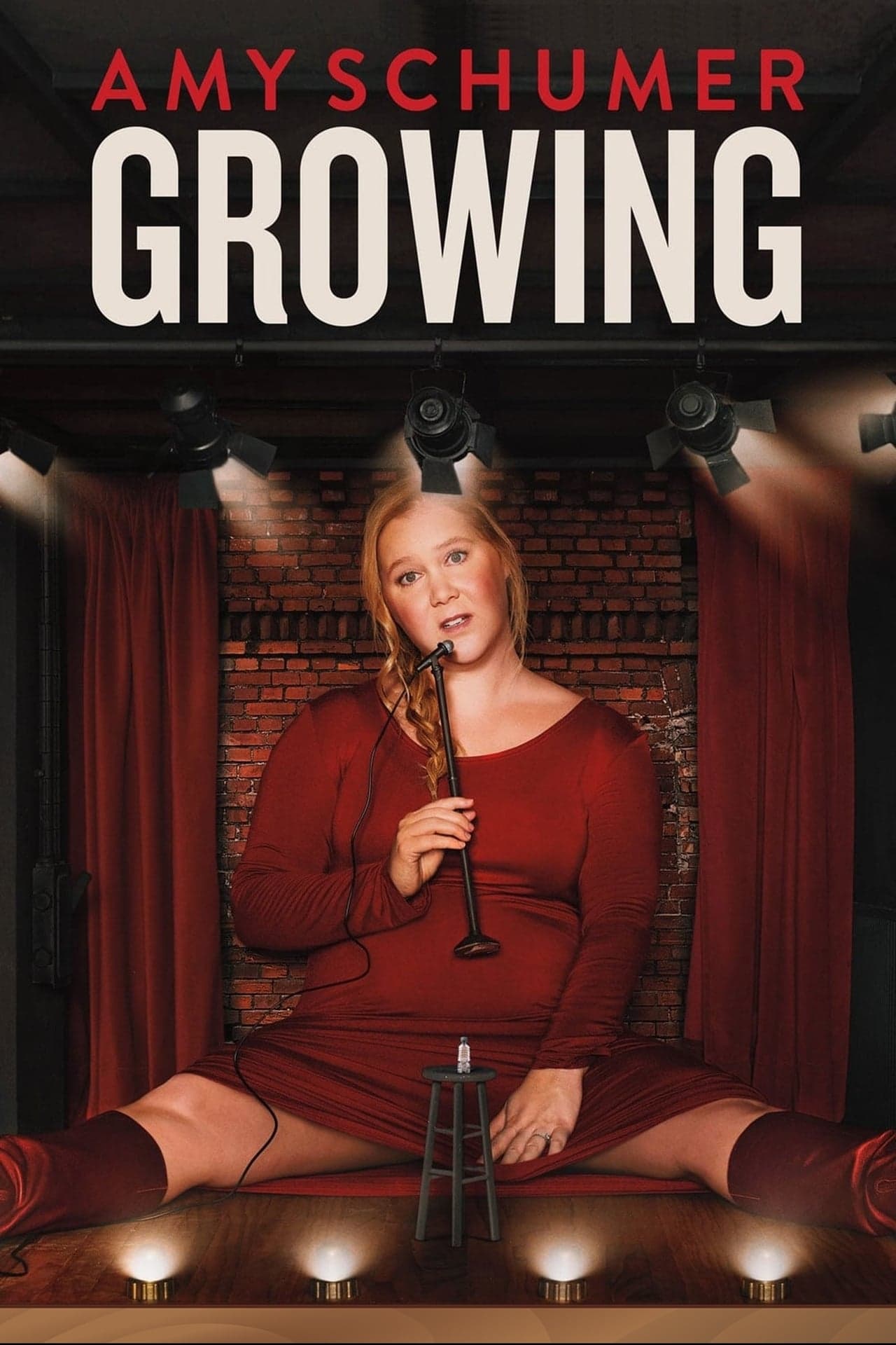 Película Amy Schumer: Growing