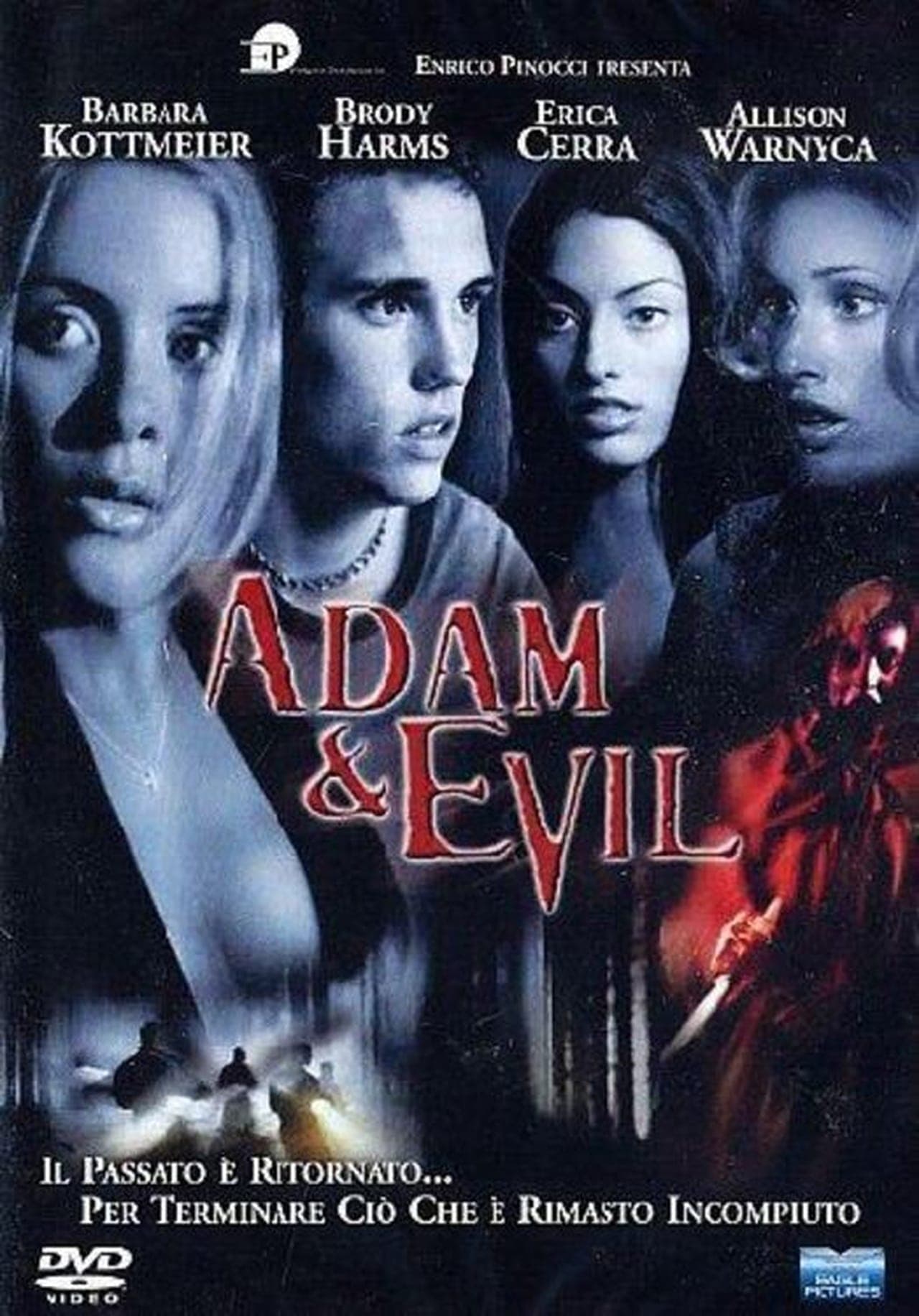 Movie Adam & Evil