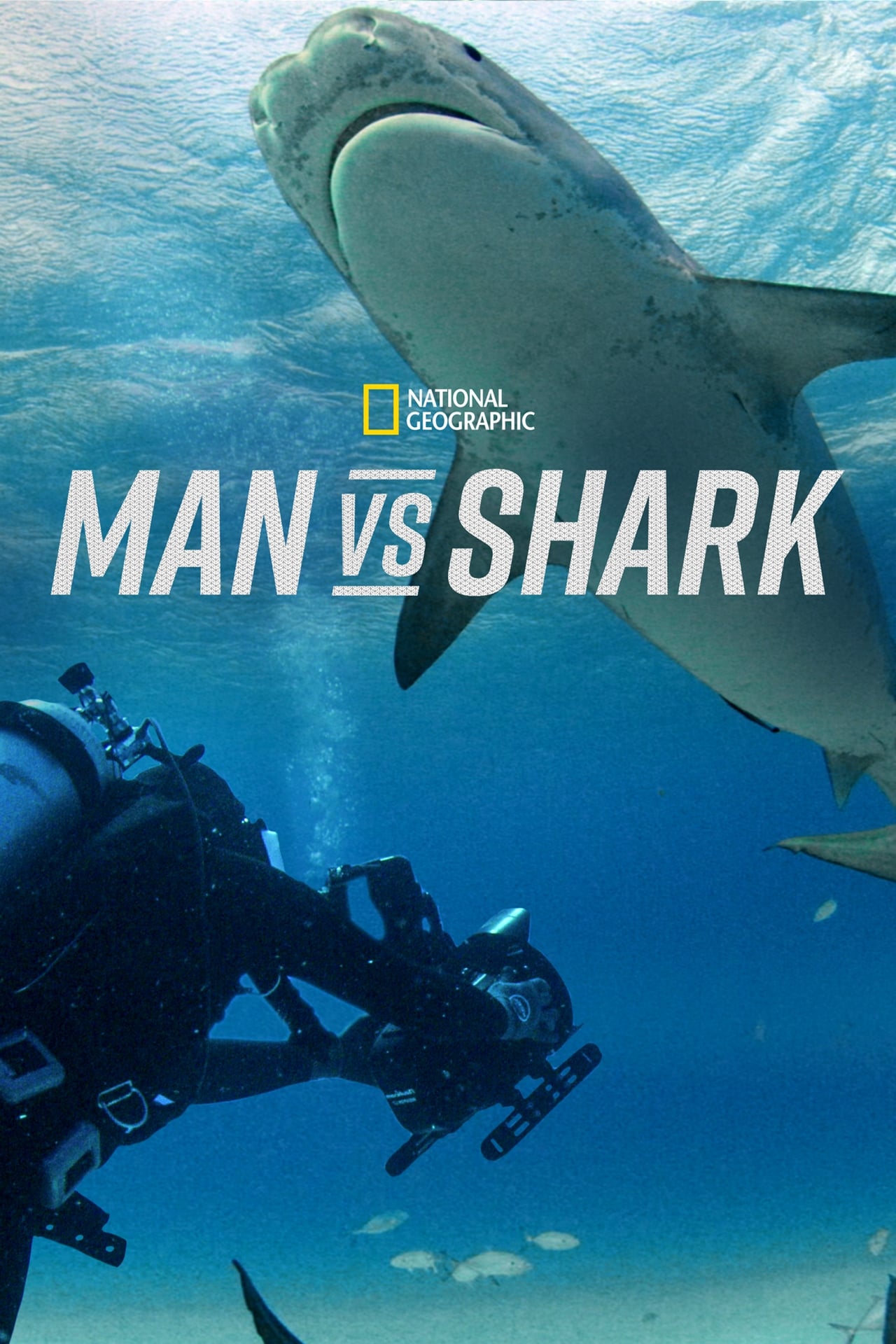 Película Man vs. Shark