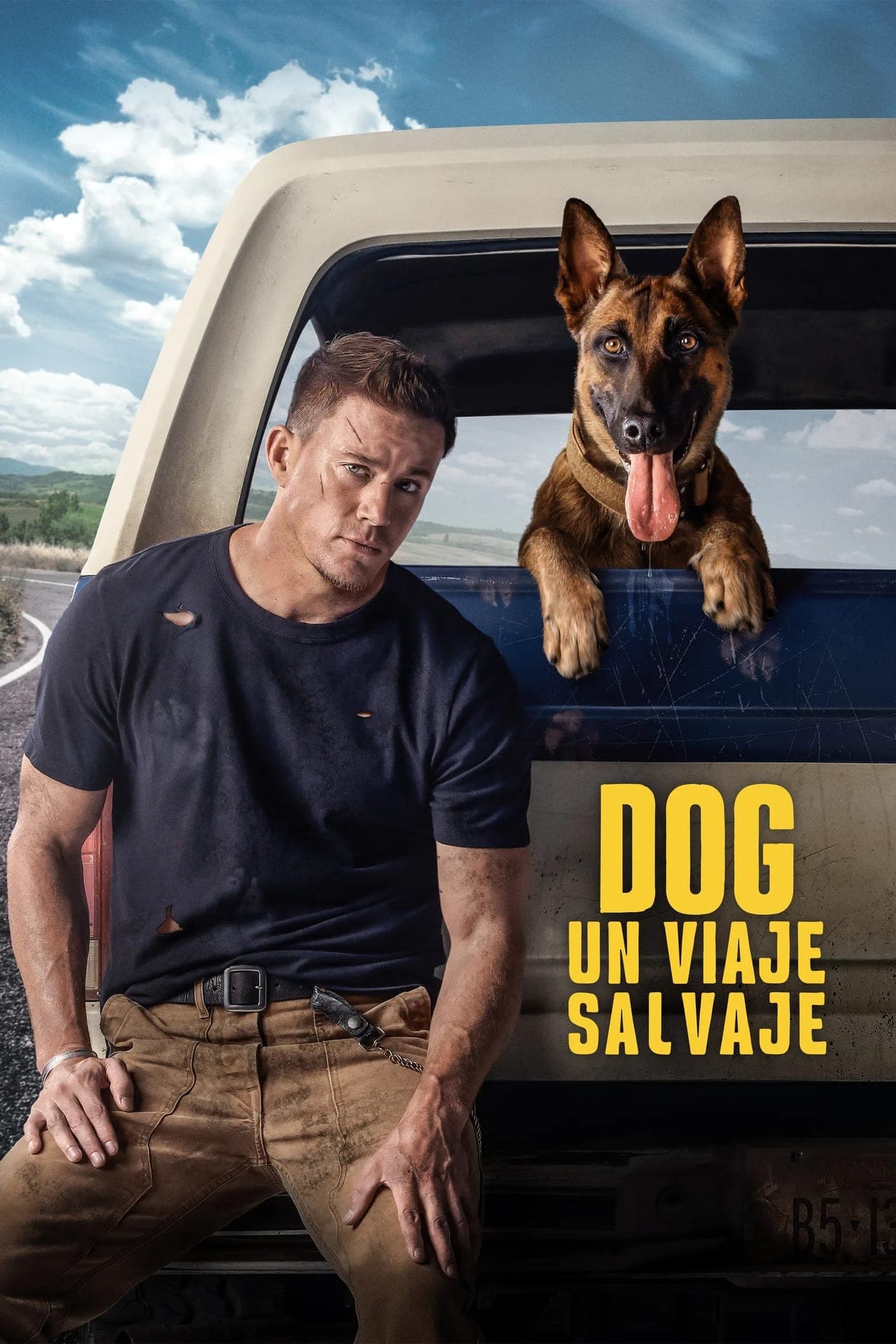 Película Dog - Un viaje salvaje