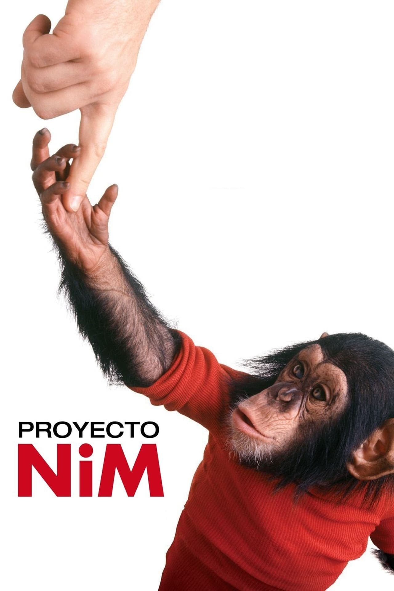 Movie Proyecto Nim