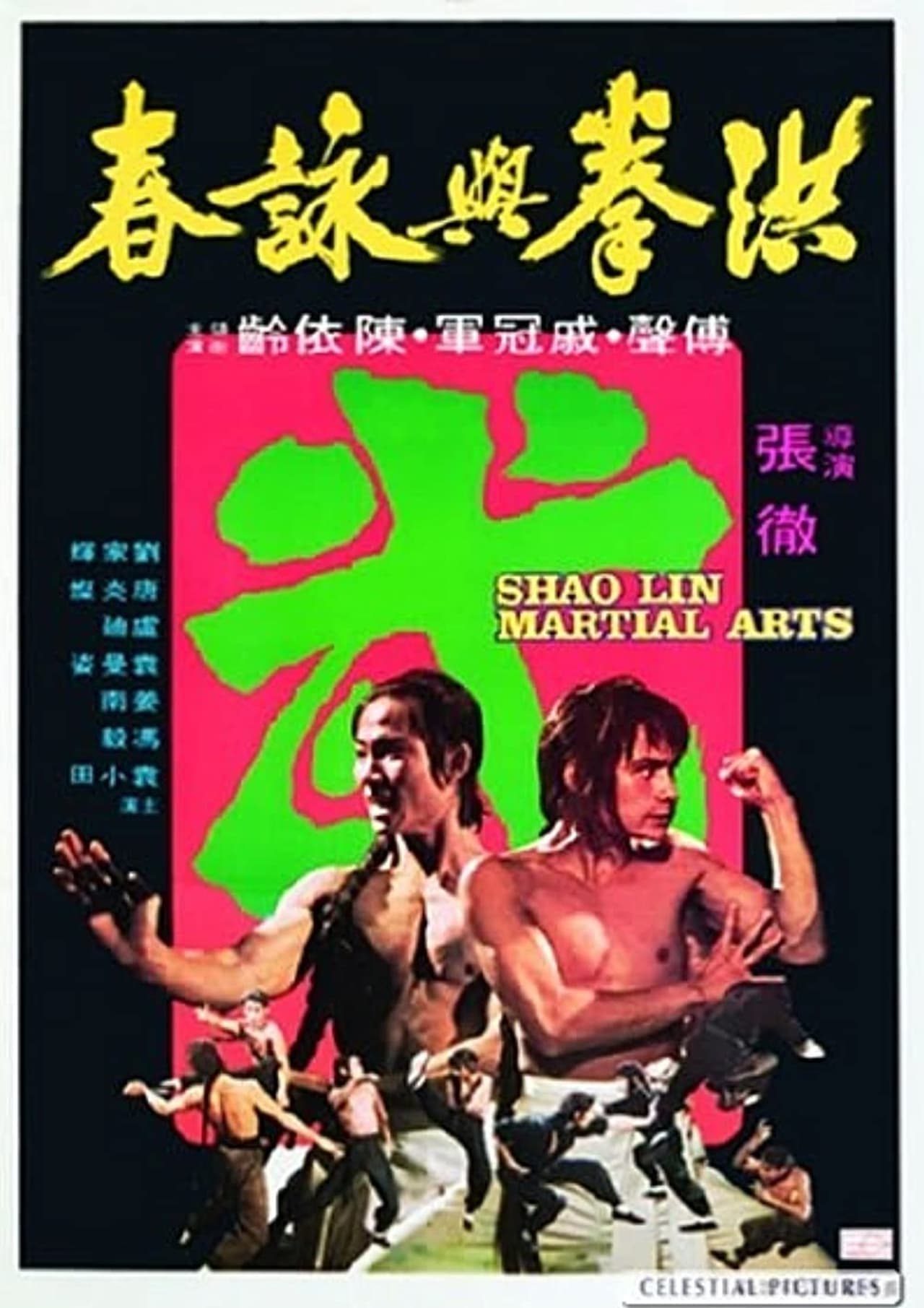 Movie Shaolin Martial Arts