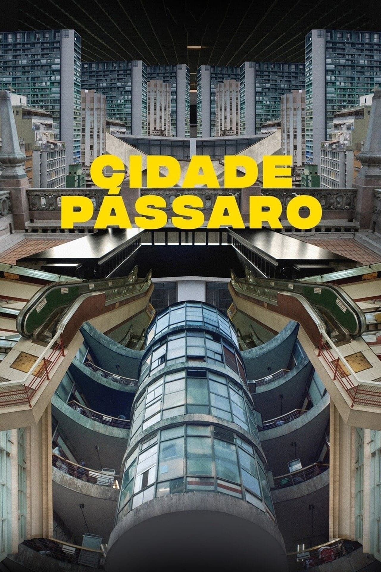 Película Cidade Pássaro