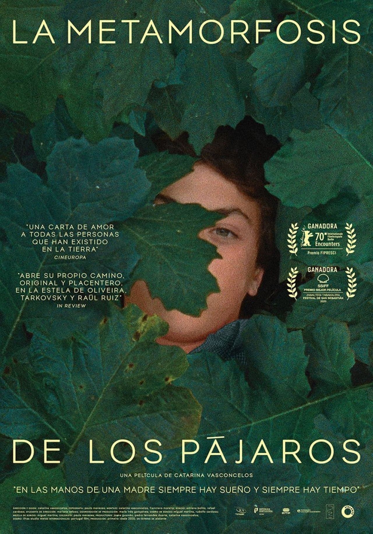 Movie La metamorfosis de los pájaros