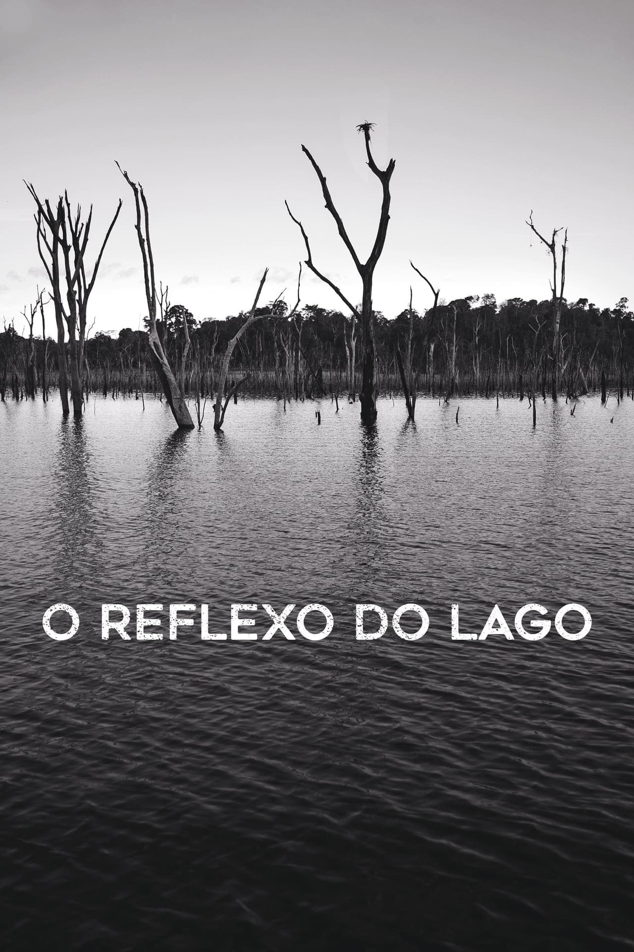 Película O Reflexo do Lago