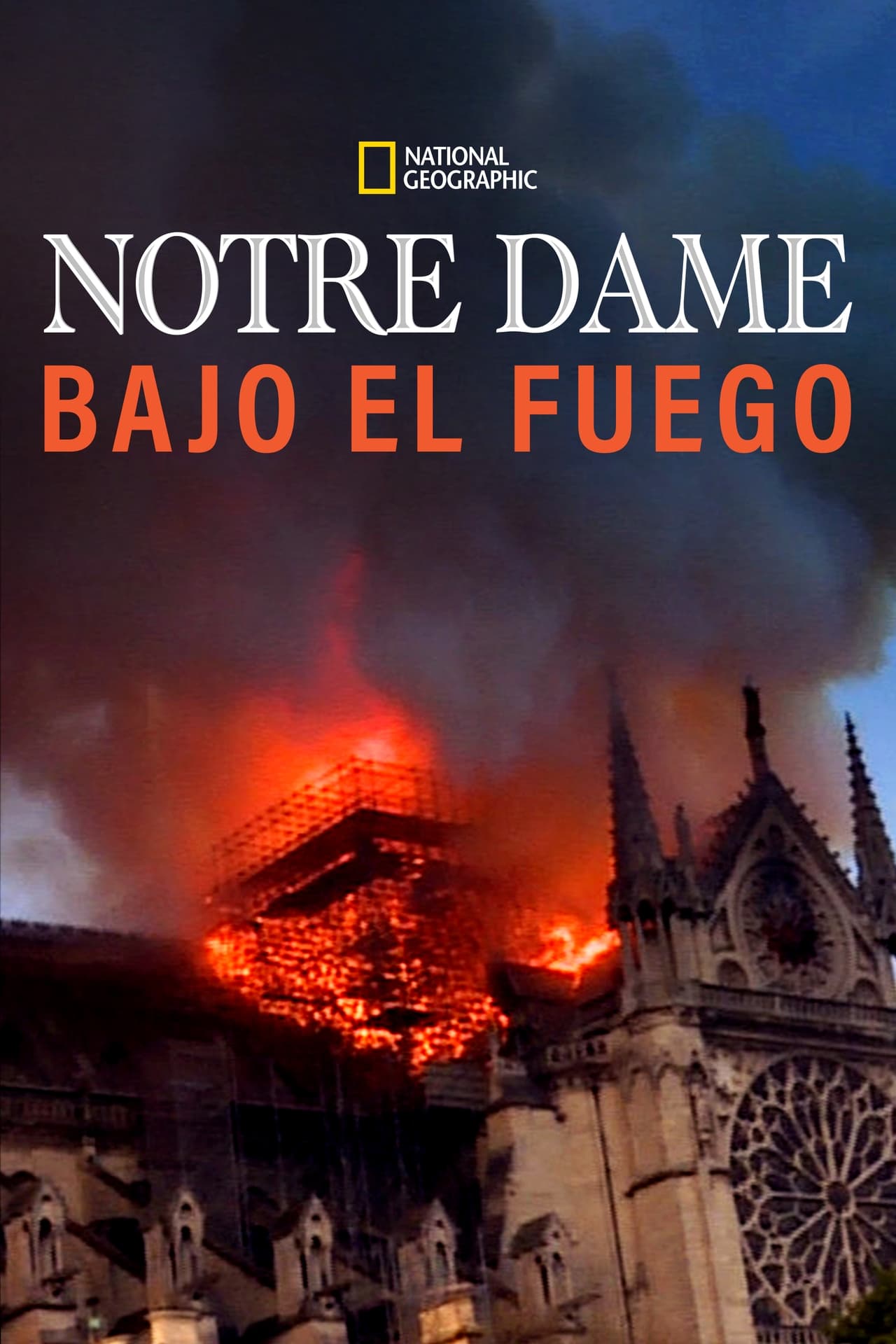 Película Notre Dame: La increíble carrera contra el infierno