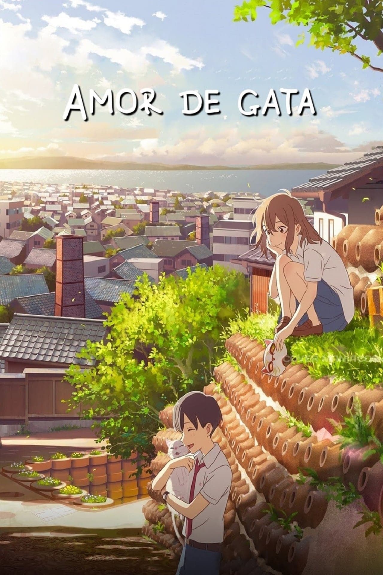 Movie Amor de gata