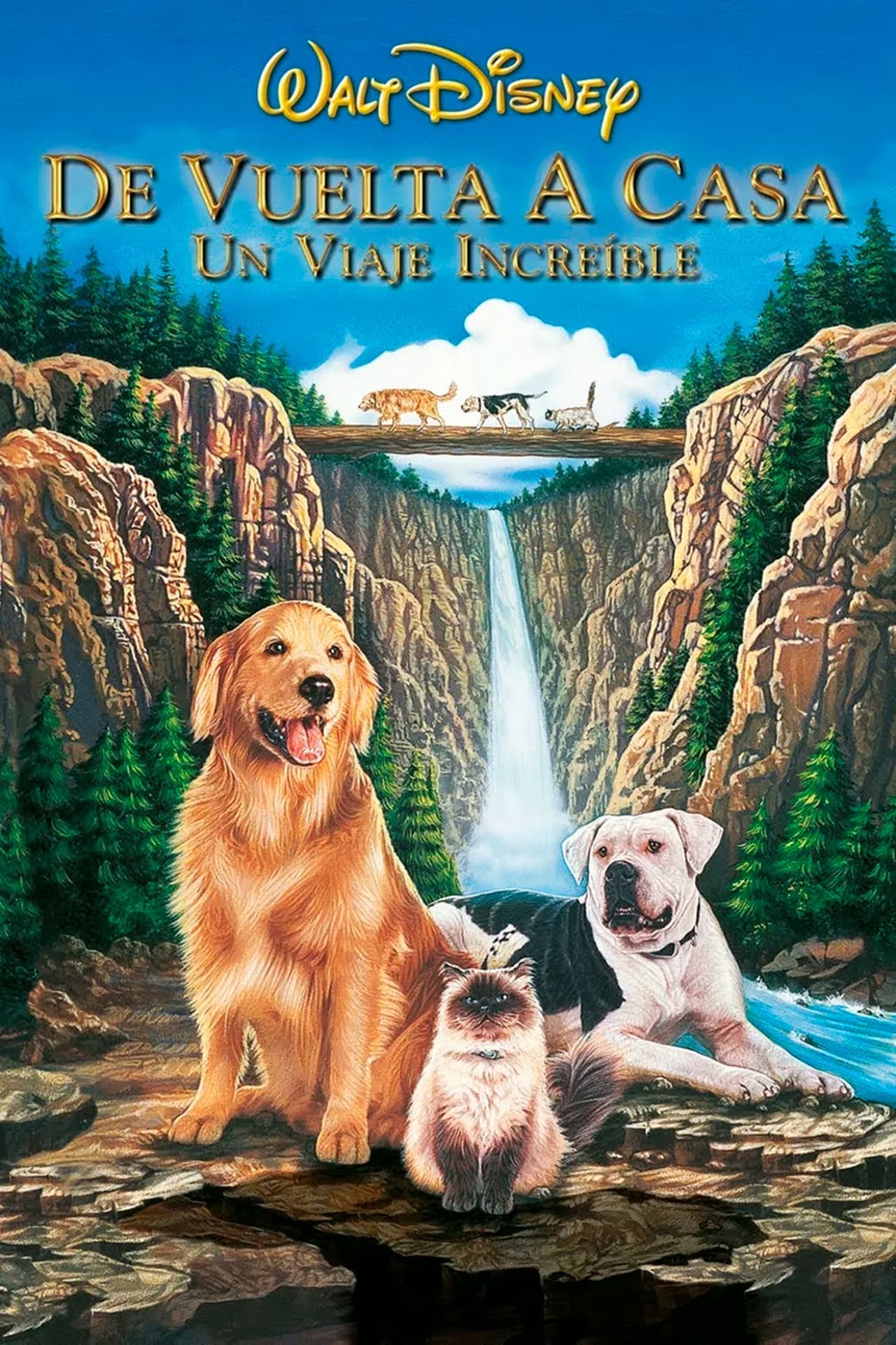 Película De vuelta a casa: Un viaje increíble