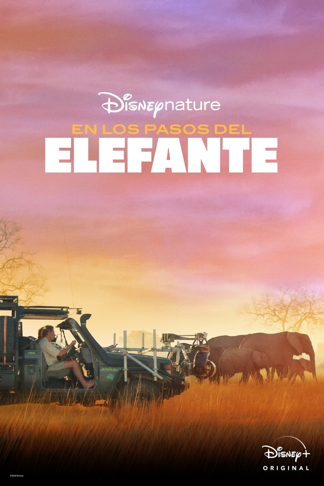 Movie Tras los pasos del elefante