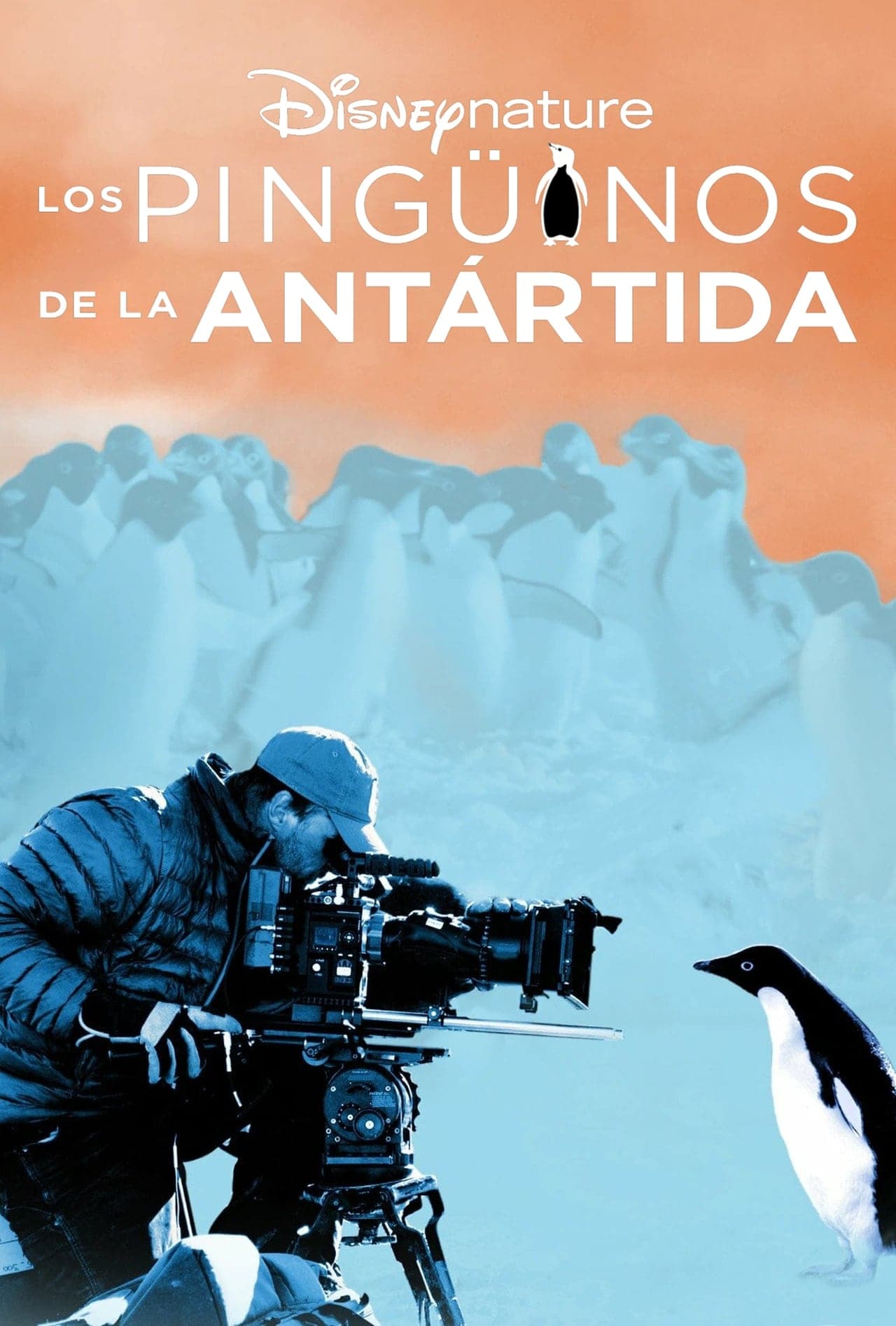 Película Los pingüinos de la Antártida