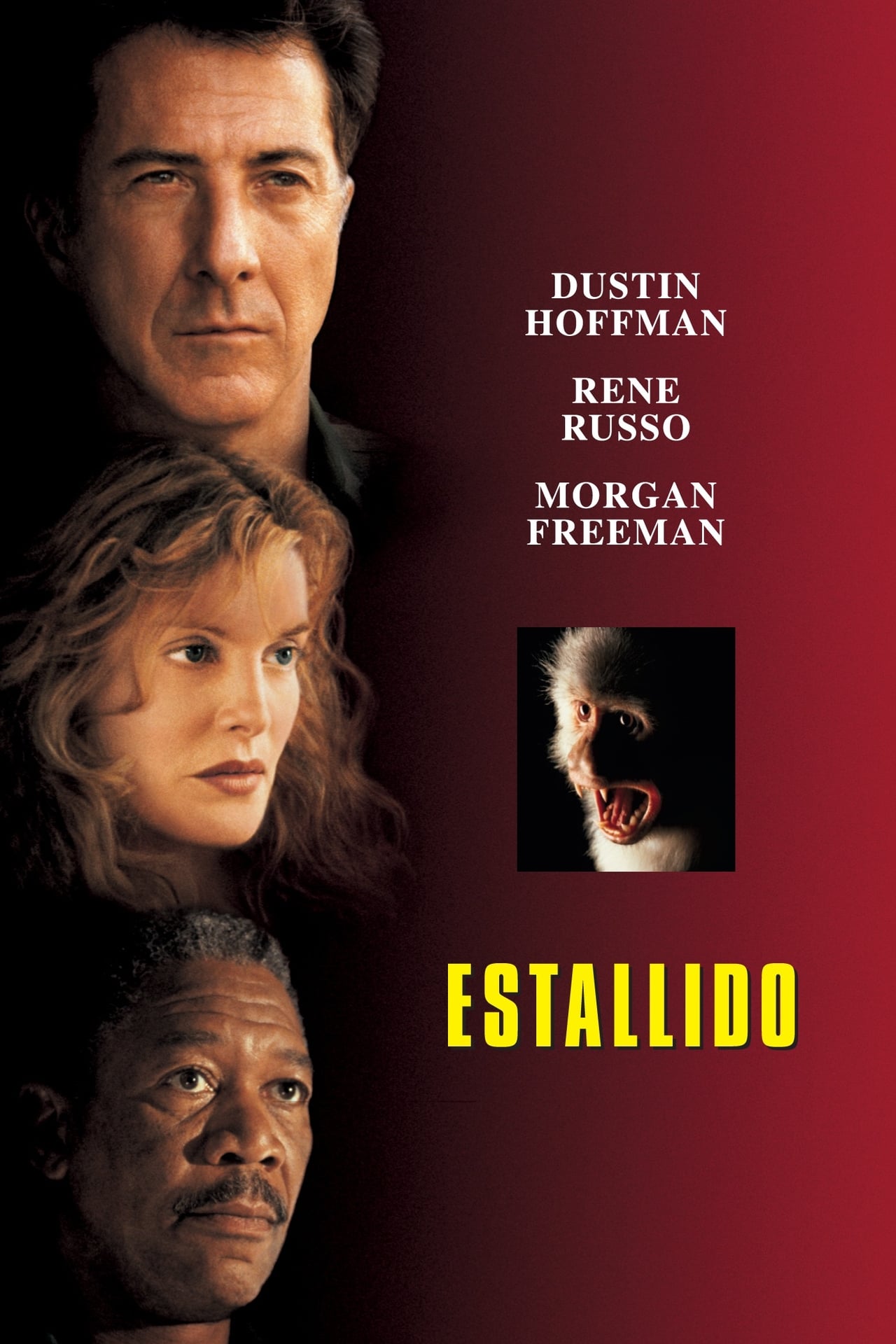 Película Estallido