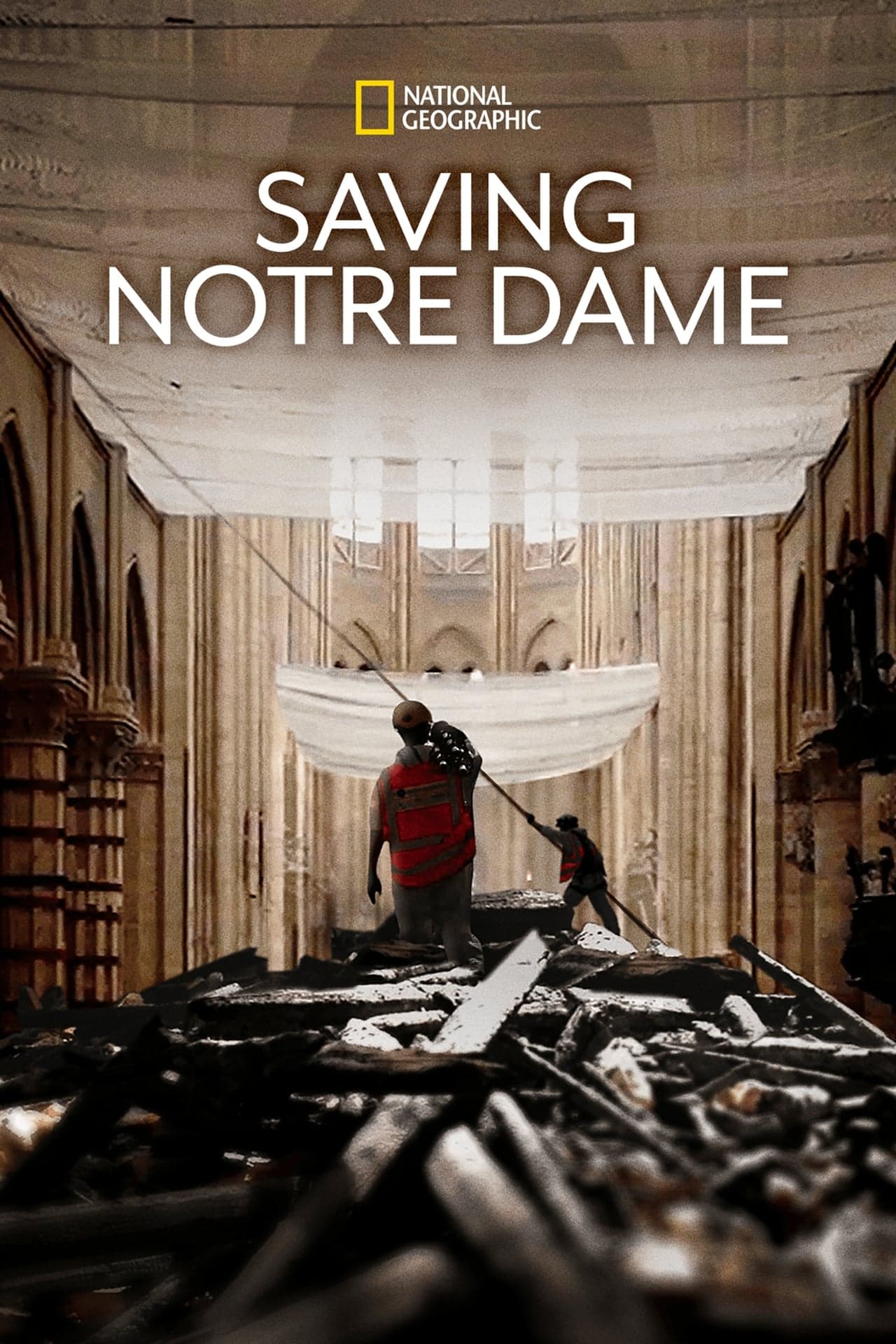 Movie Salvar Notre-Dame