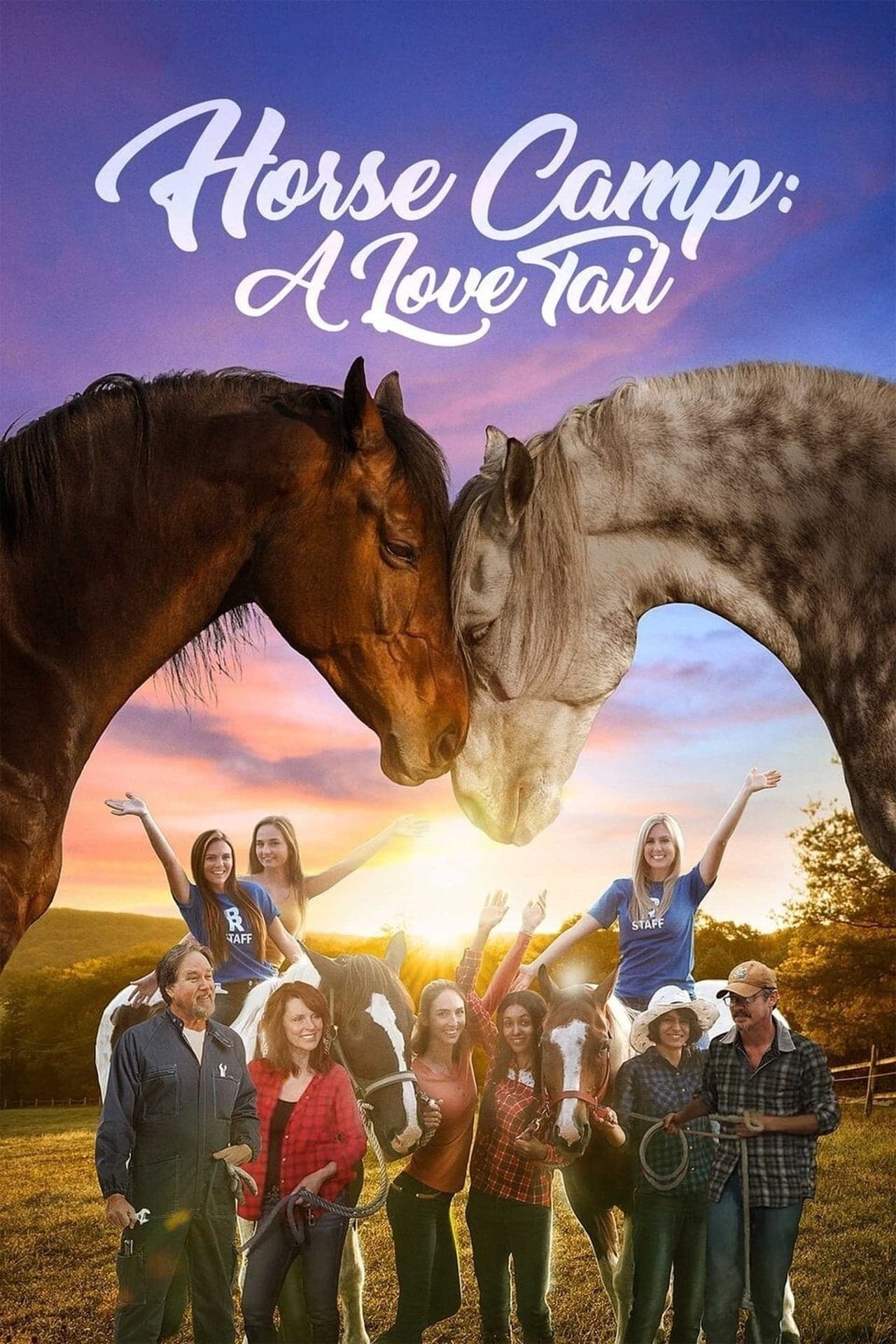 Movie Horse Camp: A Love Tail