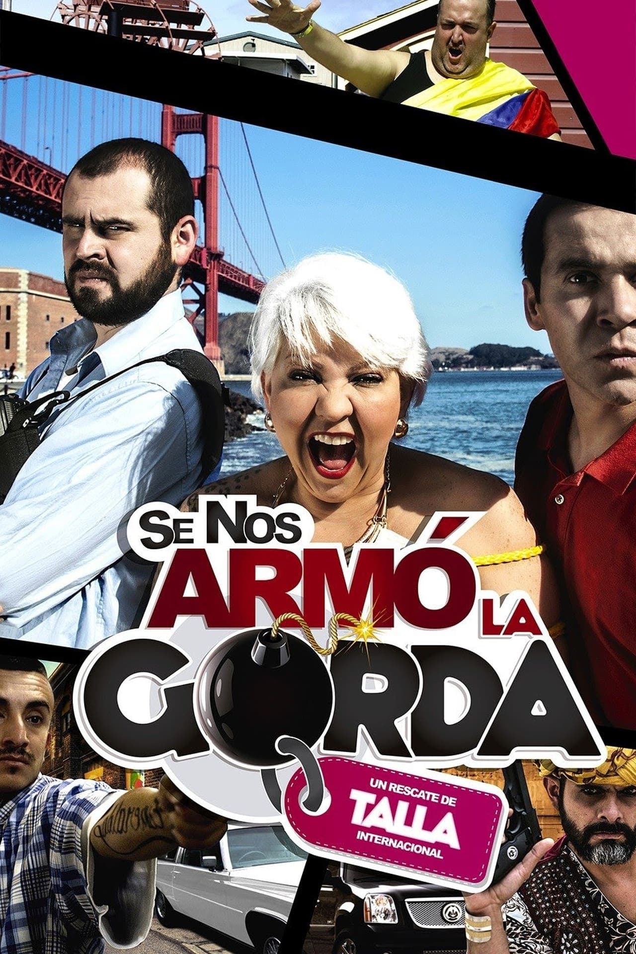 Movie Se nos armó la gorda