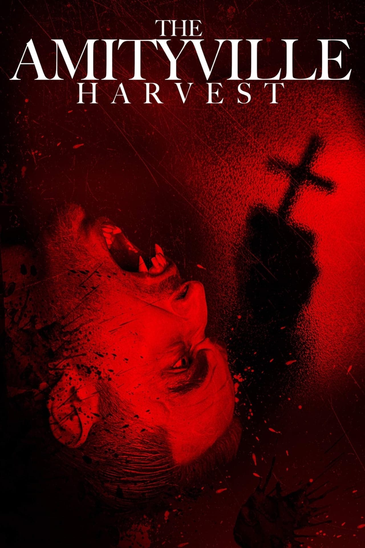 Película The Amityville Harvest